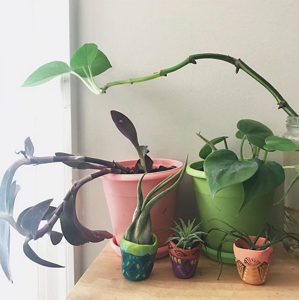 Show mini planters next to a larger planters for dimension.