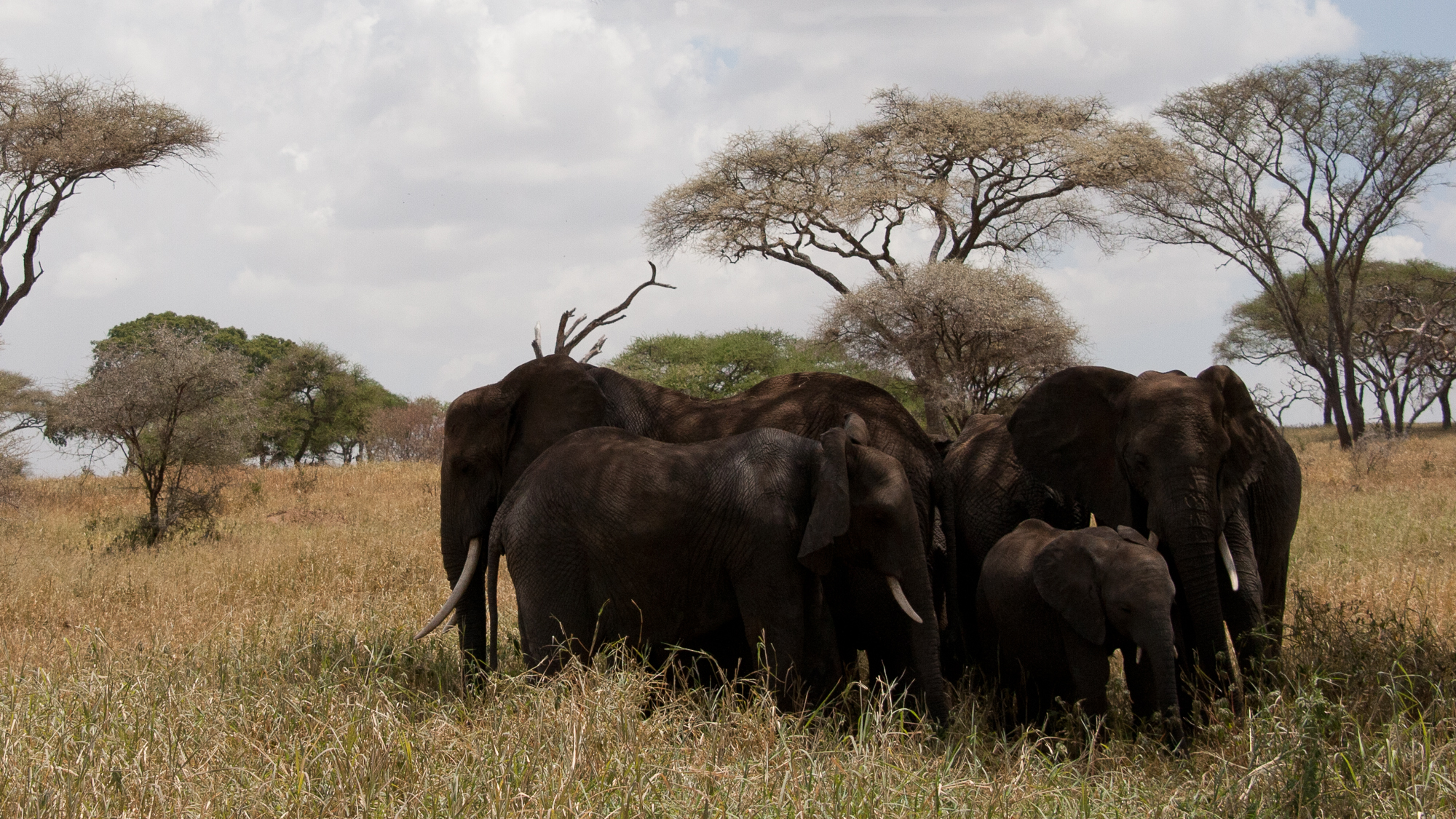 Tanzania-0956.jpg