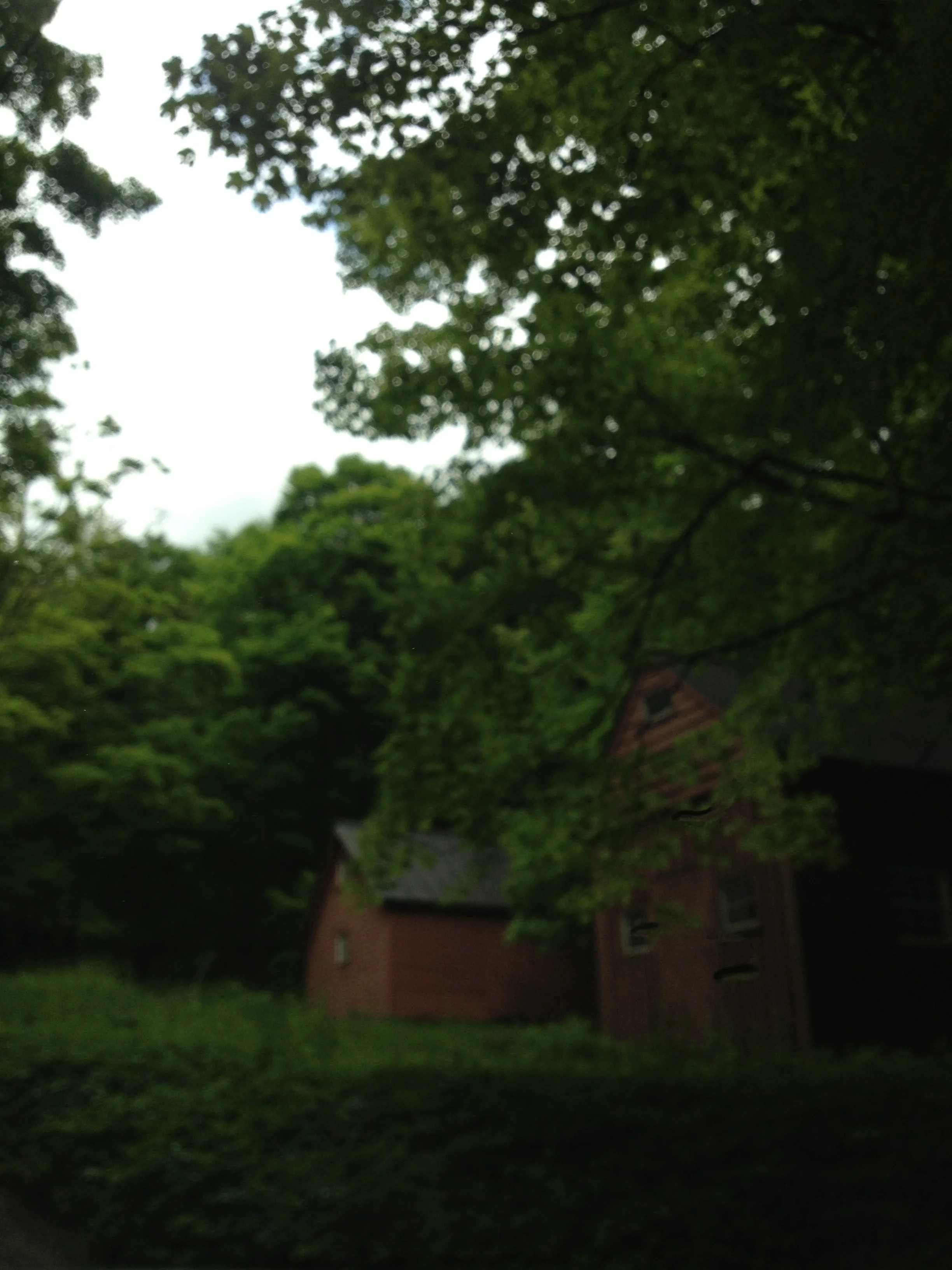 IMG_5963.jpg