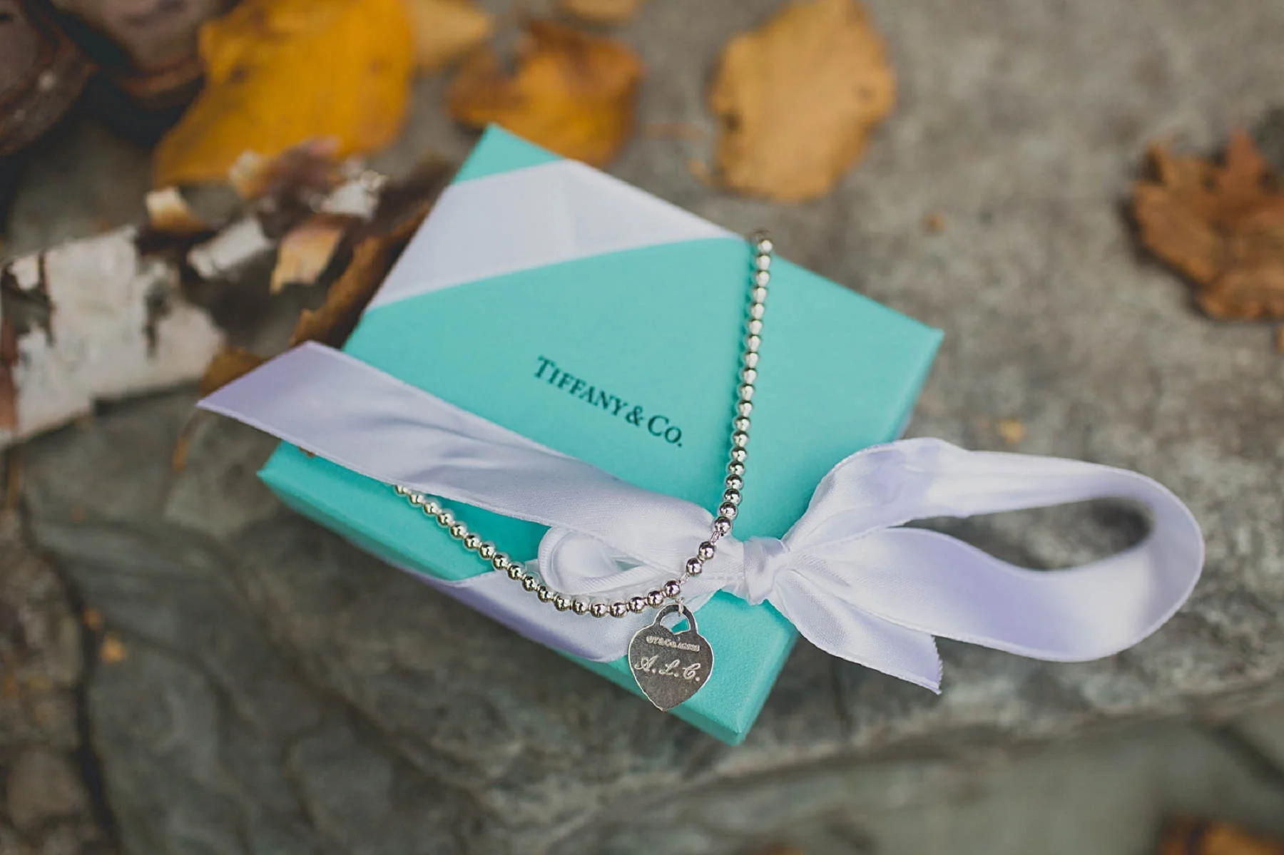 Jennifer_Mooney_photo_glacier_outdoor_center_wedding_montana_fall_elegant_rustic_romantic-4.jpg