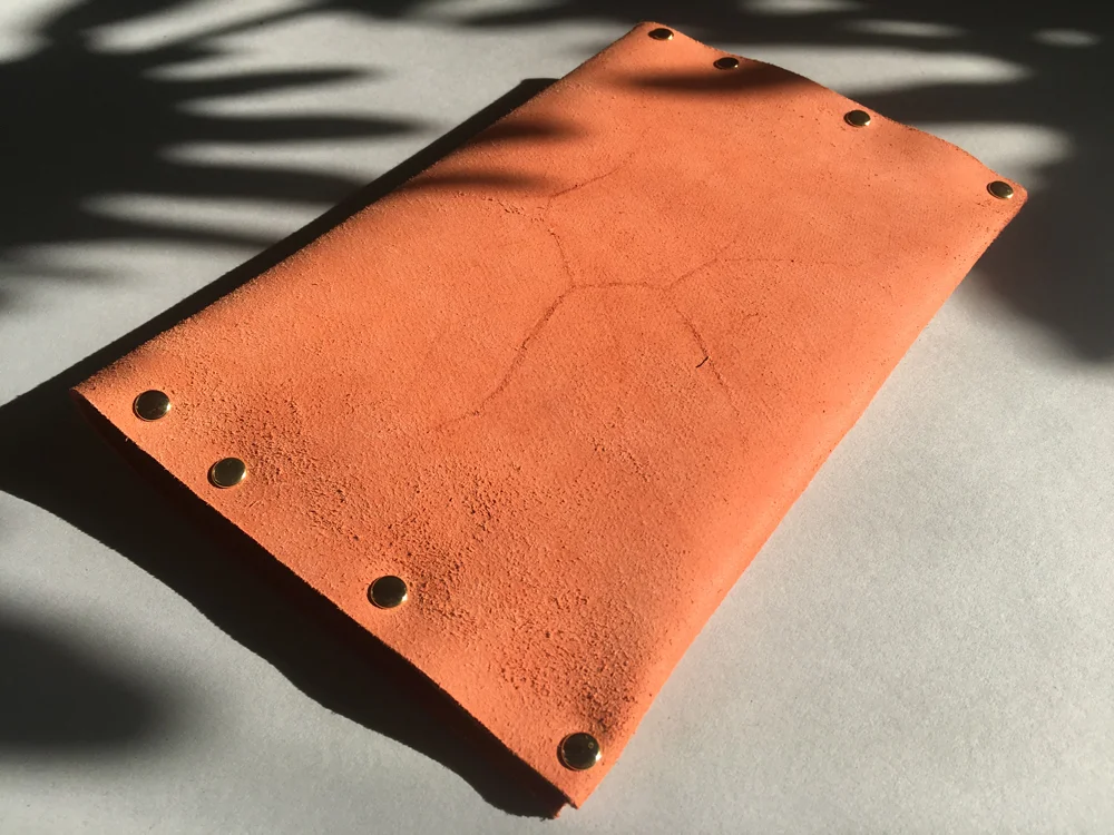 salmon-crudo-wallet-back.jpg