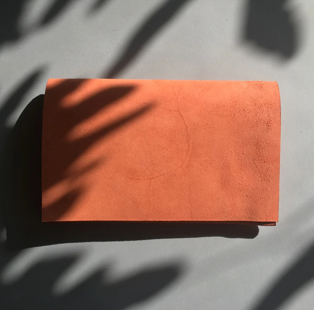 salmon-crudo-wallet.jpg