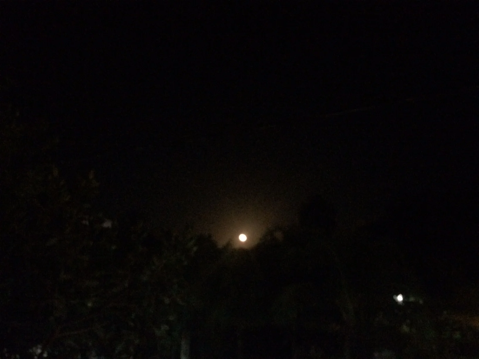 Three Cheers for Despair!!!