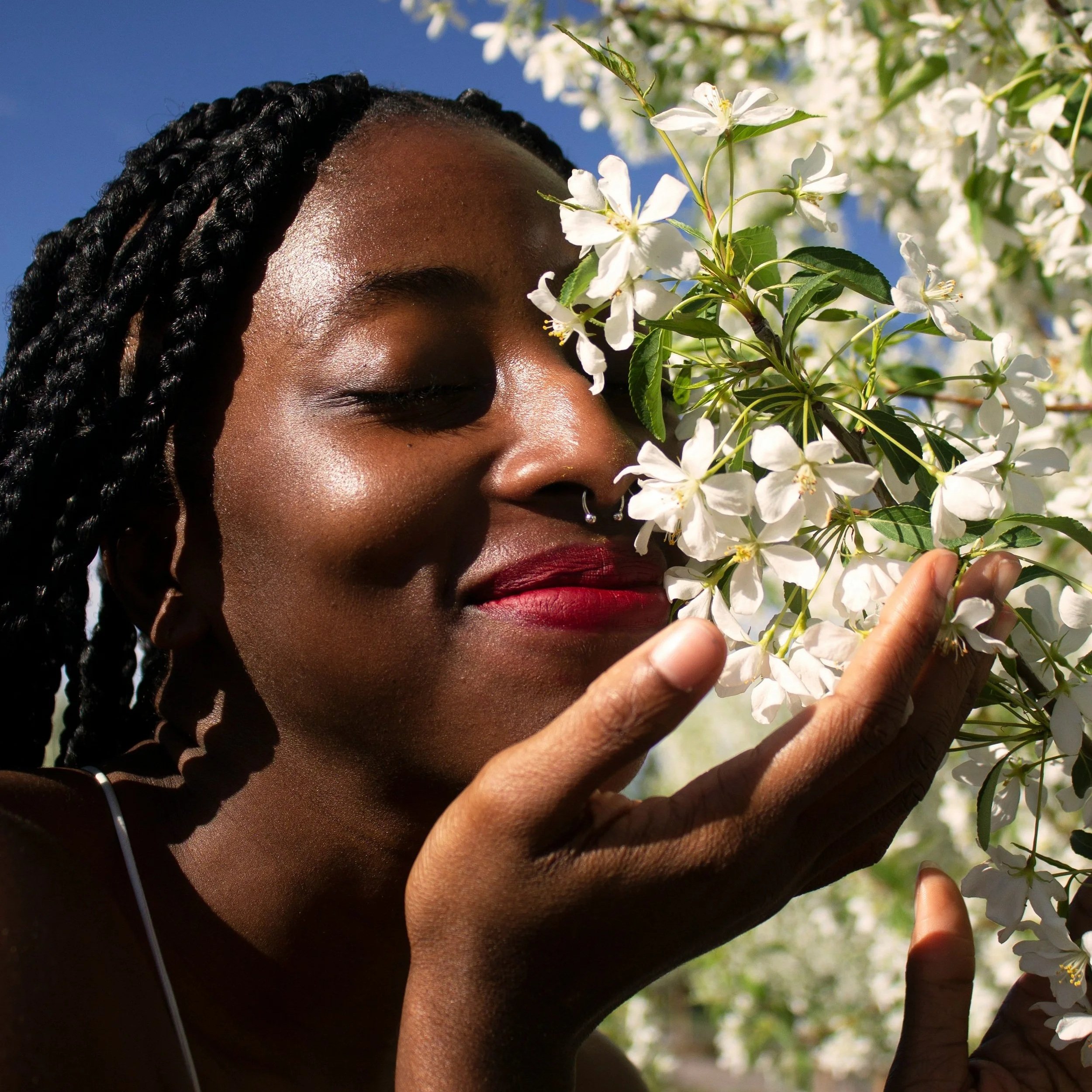 Come to Your Senses - Guided Meditation