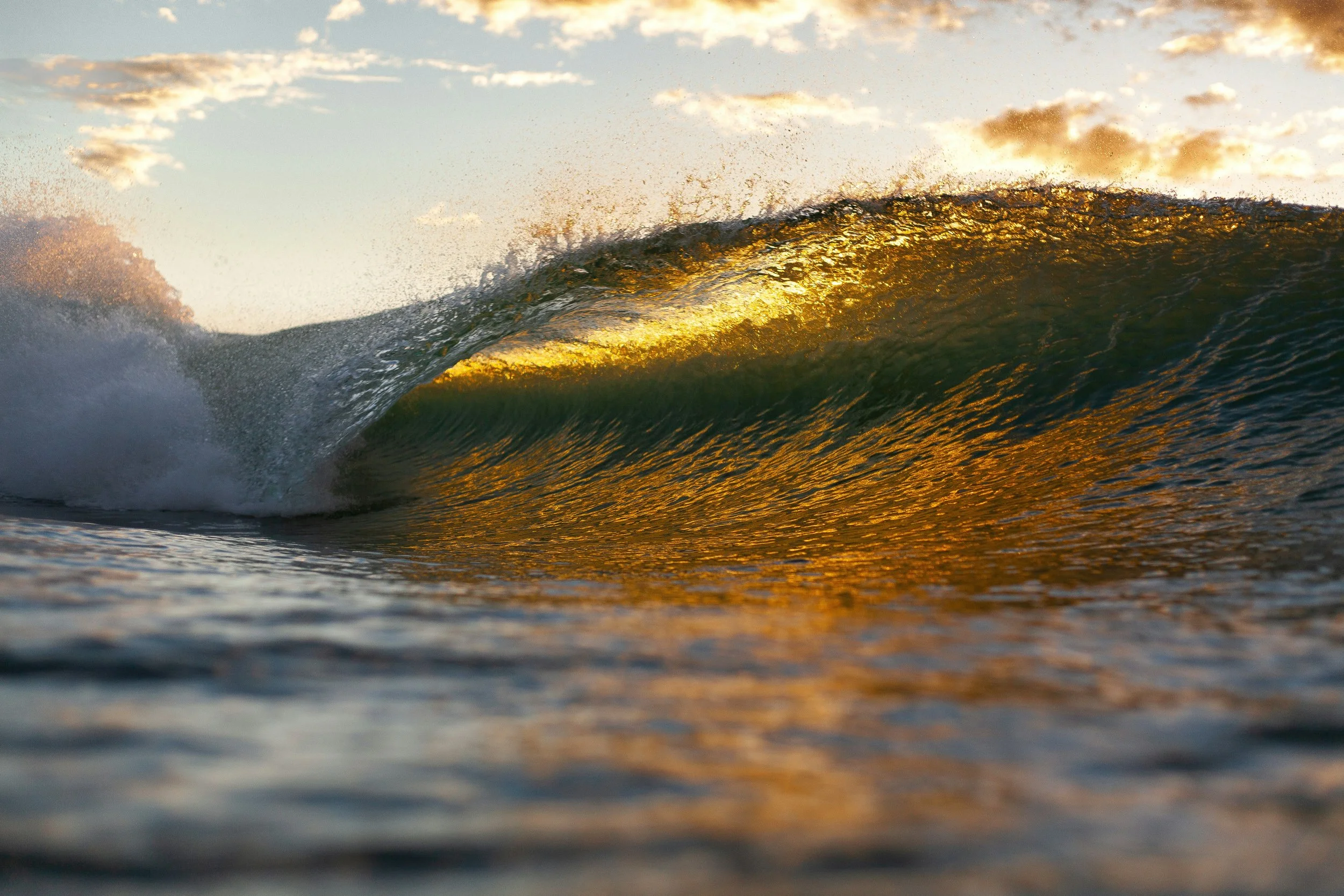 A cresting wave with sunlight shining through it
