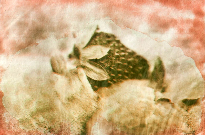 Decay