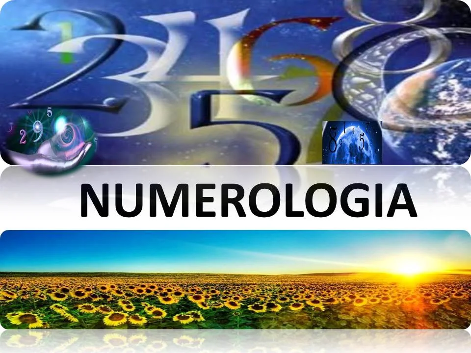 imagem face numerologia.jpg