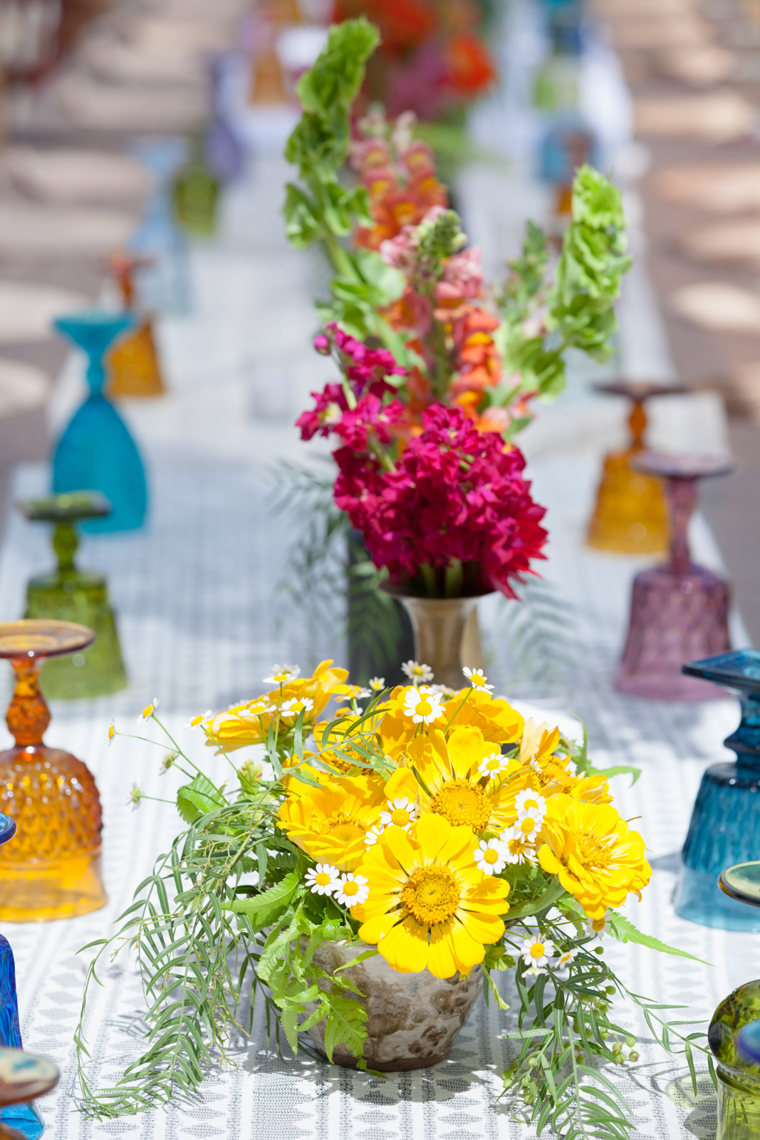 card 001-_MG_0386.jpg