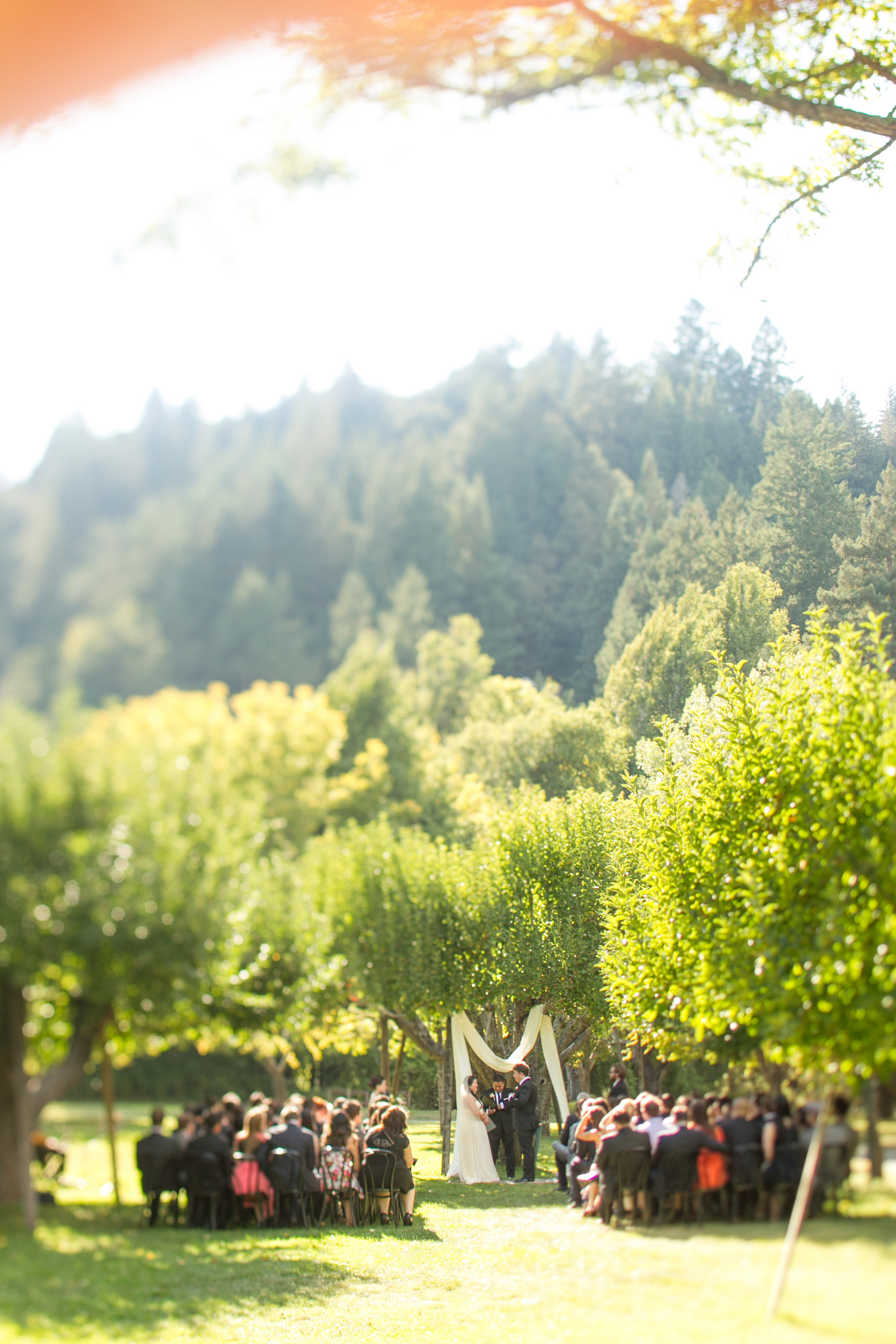 Veronica Lowe Favorites-0002.jpg