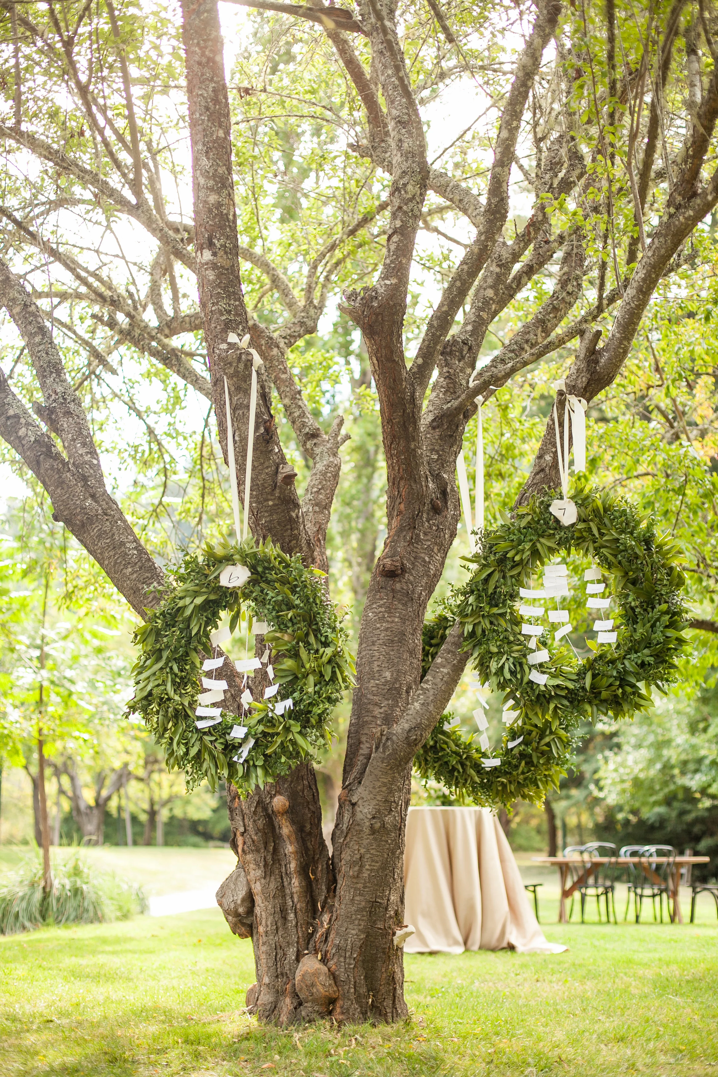 Veronica Lowe Favorites-0042.jpg