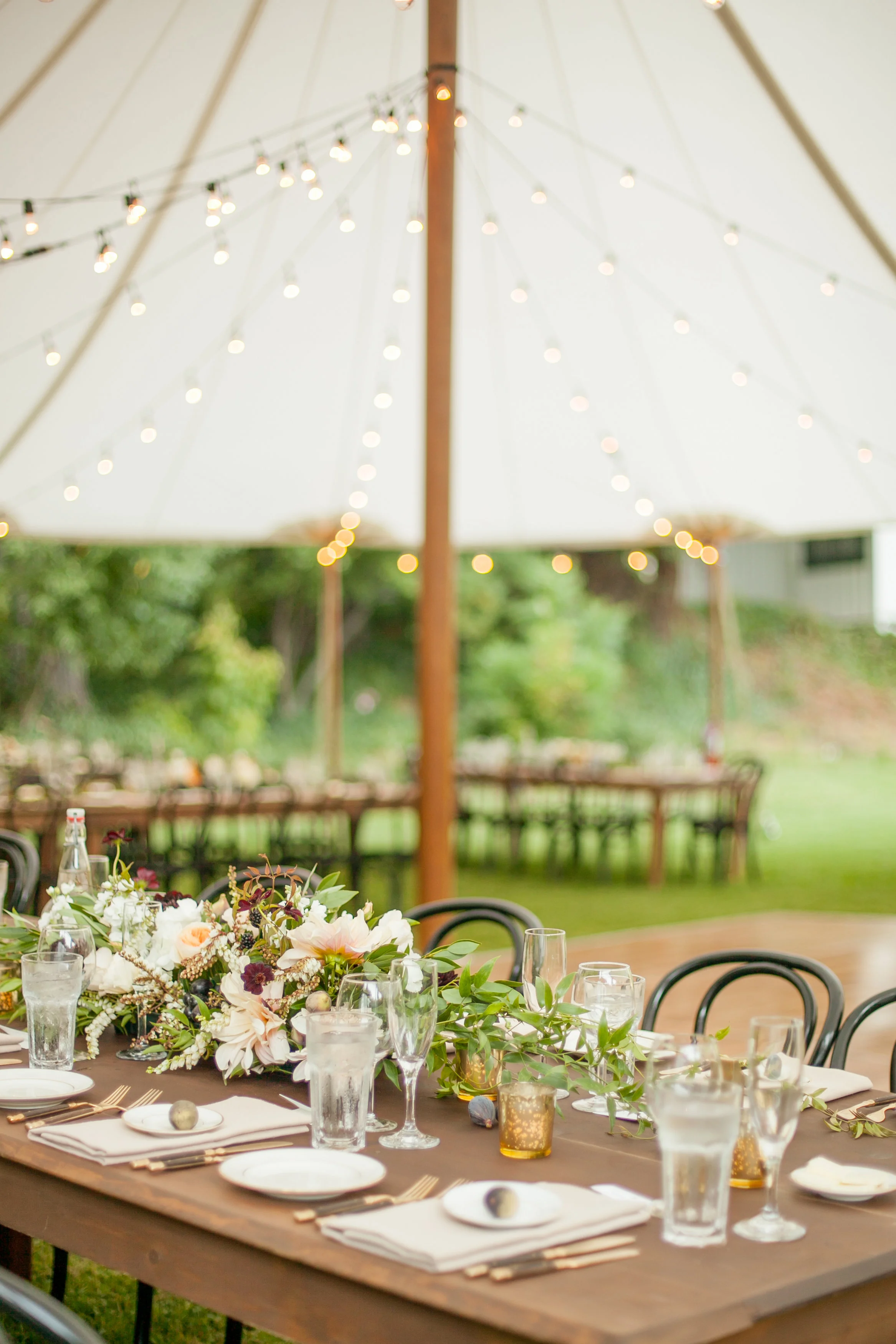 Veronica Lowe Favorites-0085.jpg