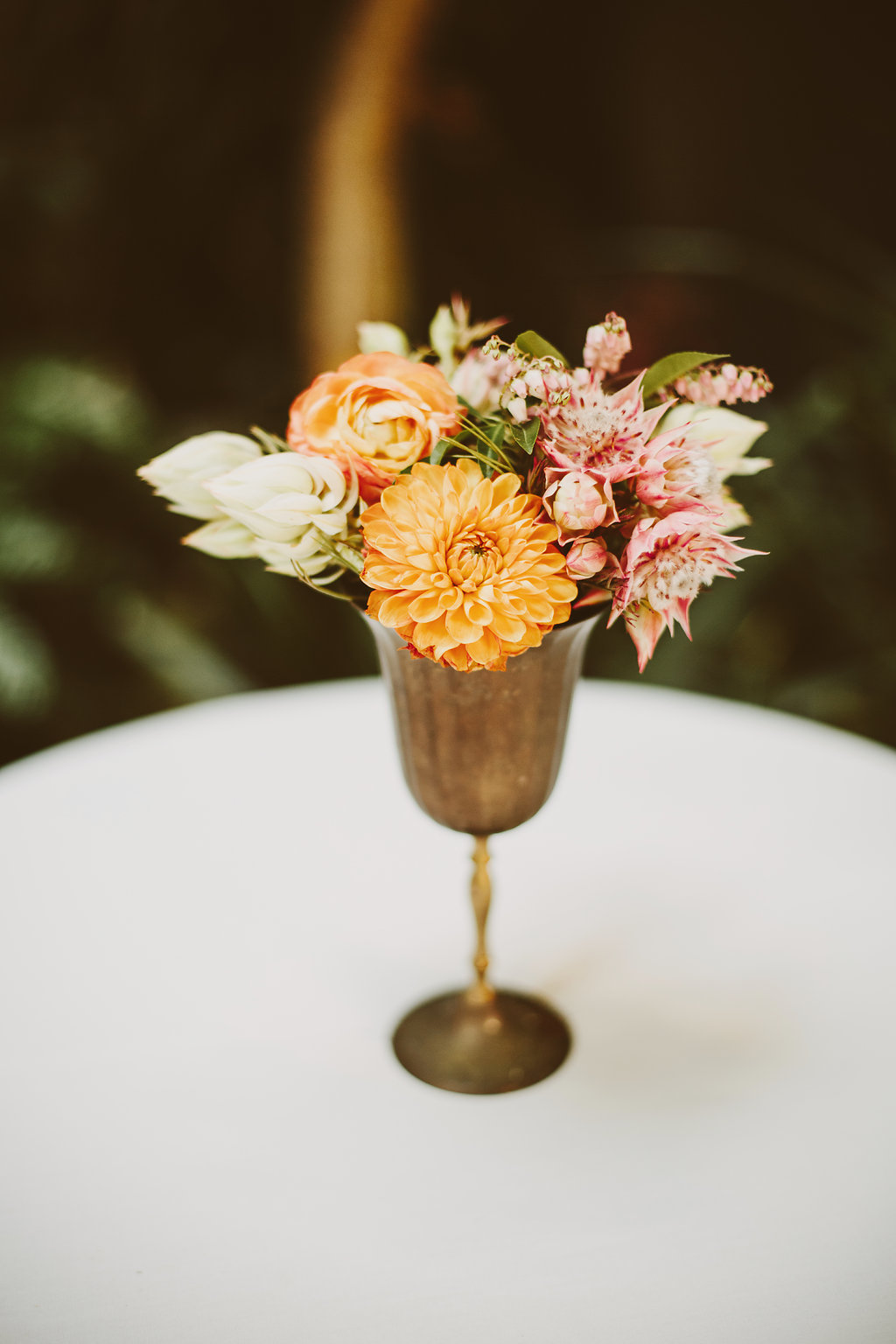 150815wed-0455.JPG