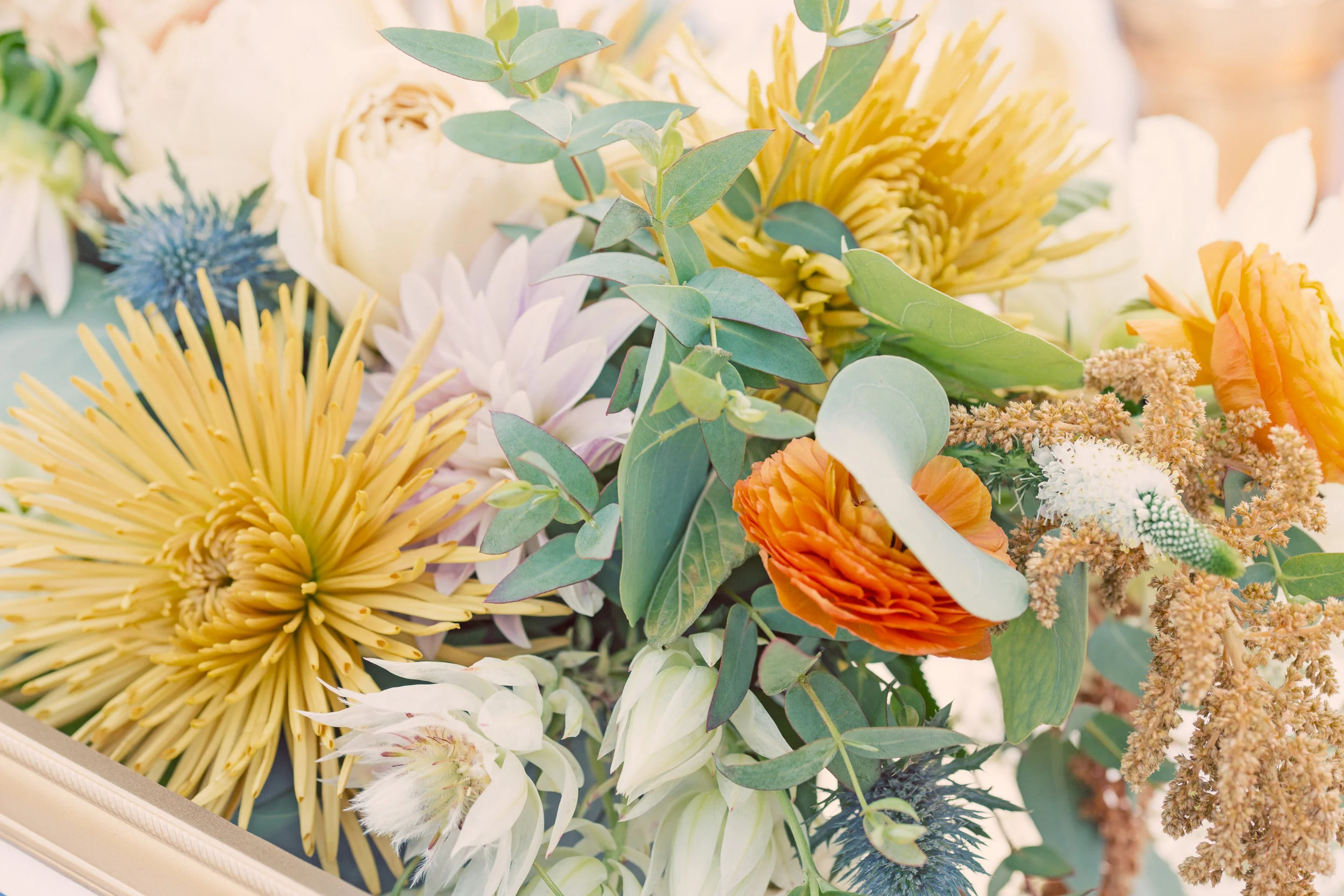 9 26 2015-MASTER-0311.jpg