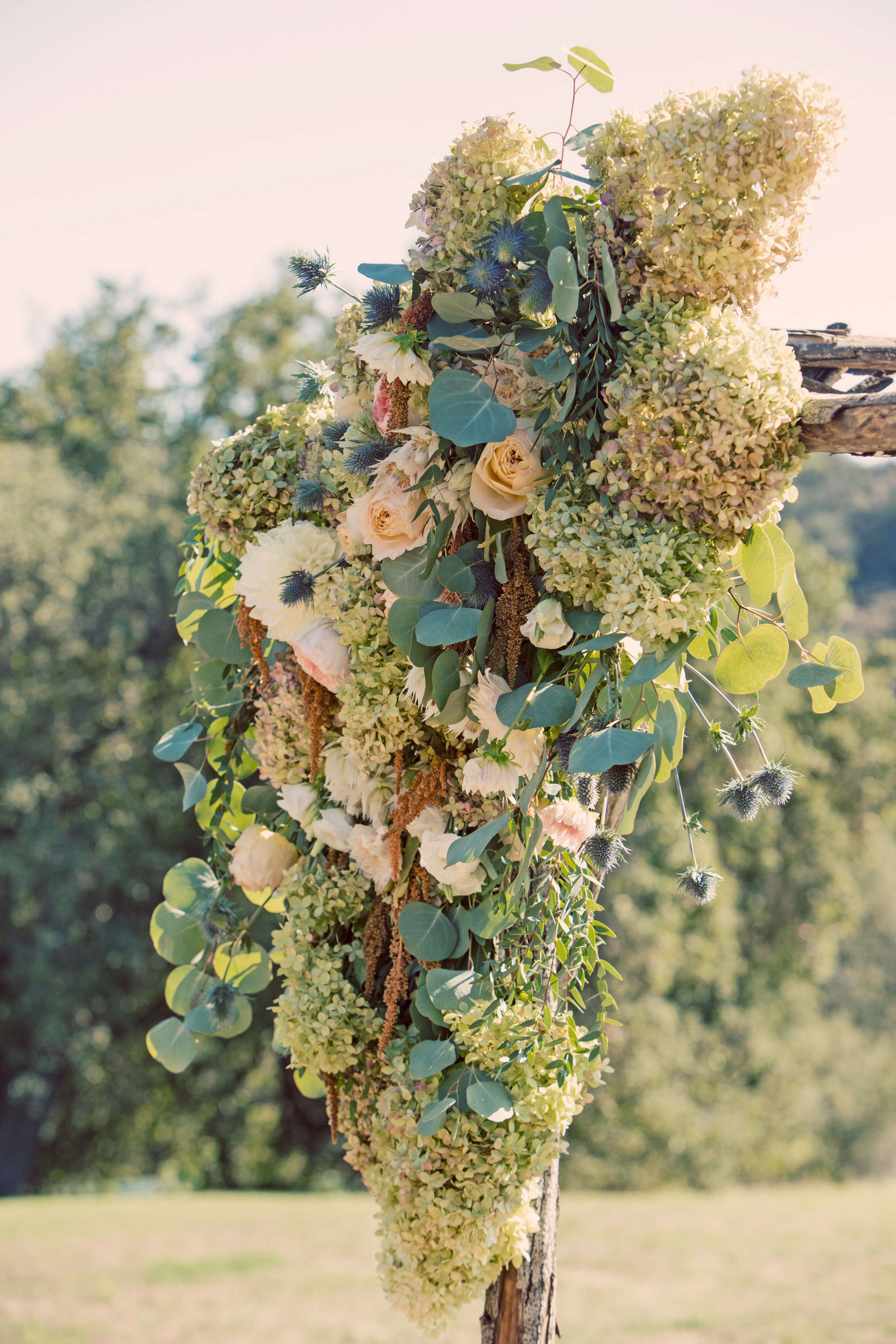 9 26 2015-MASTER-0321.jpg