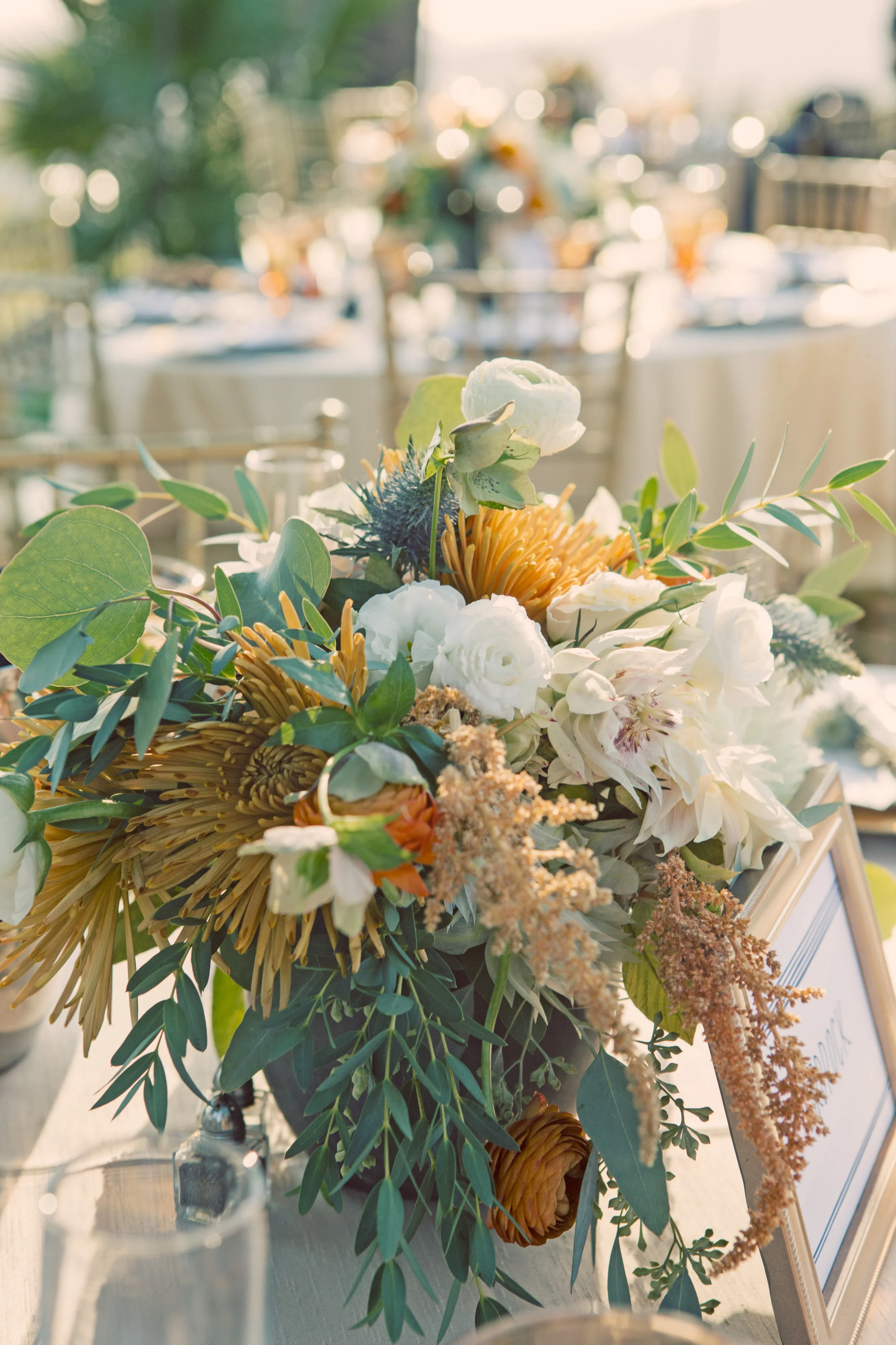 9 26 2015-MASTER-0454.jpg