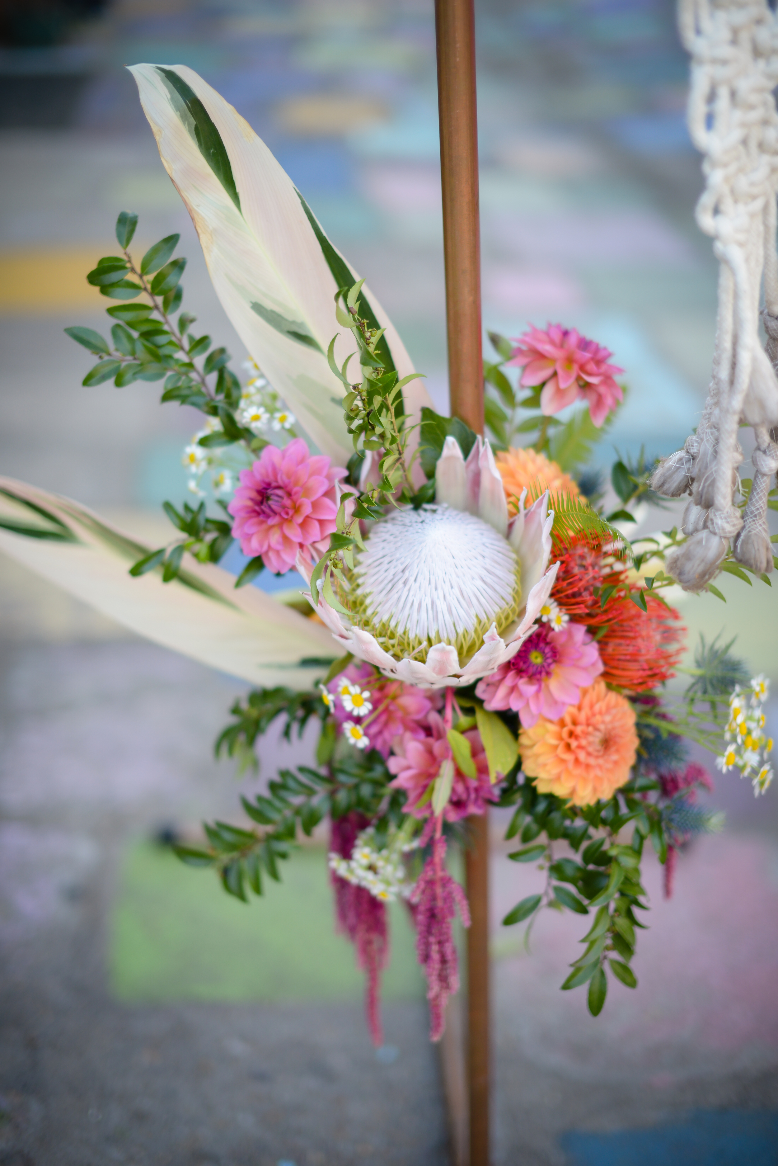 Bethany  Pete-392.jpg