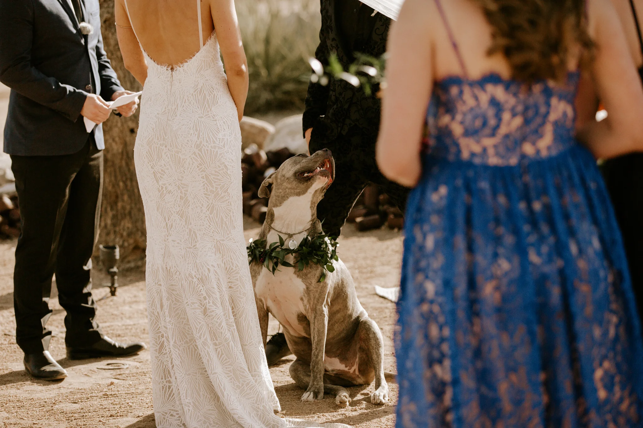 2018-05-12_Janice-Austin_Wedding_Rimrock Ranch_Paige Nelson Photography_HR-472.jpg