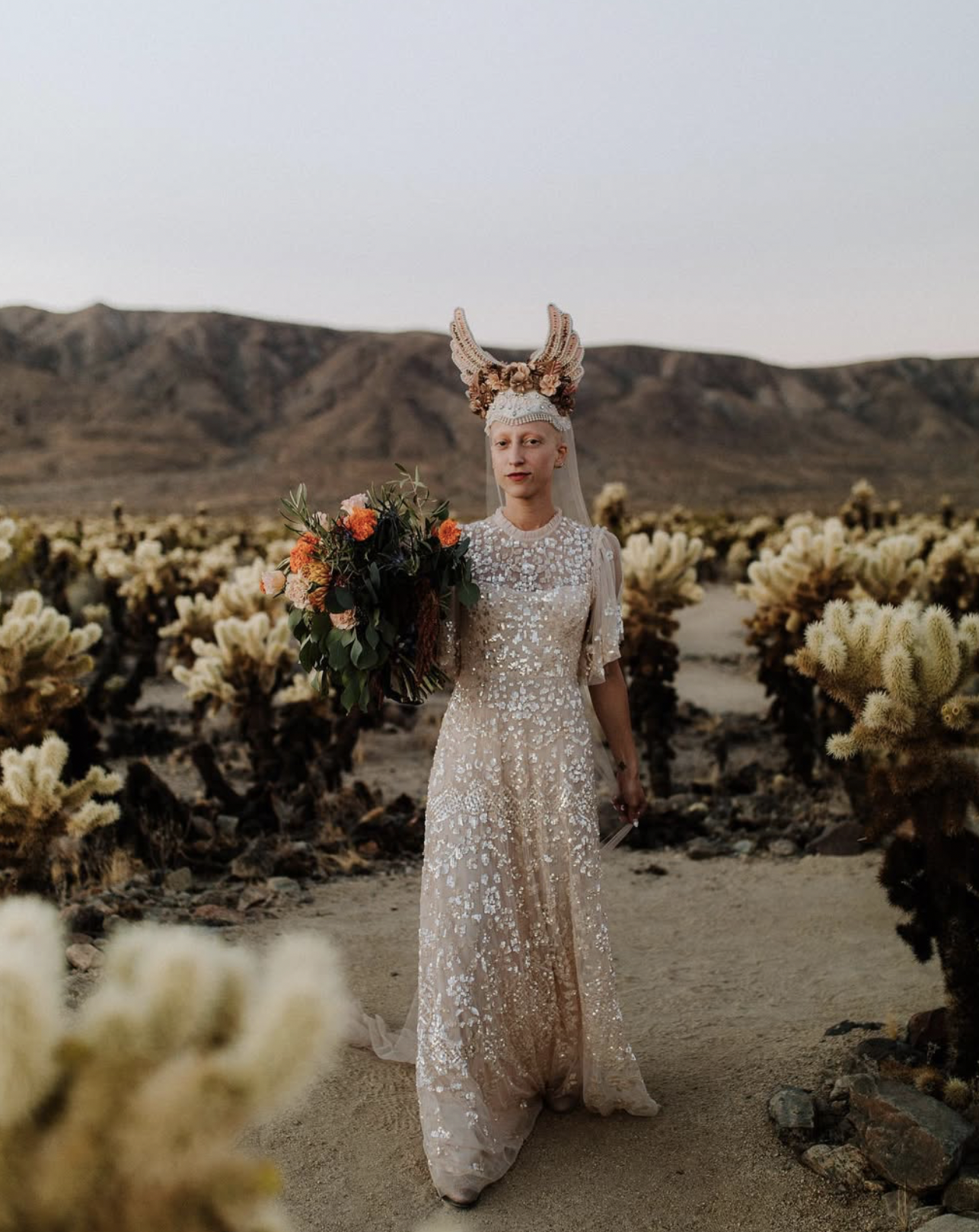 Screenshot 2026-01-09 at 1.11.36 PM.png