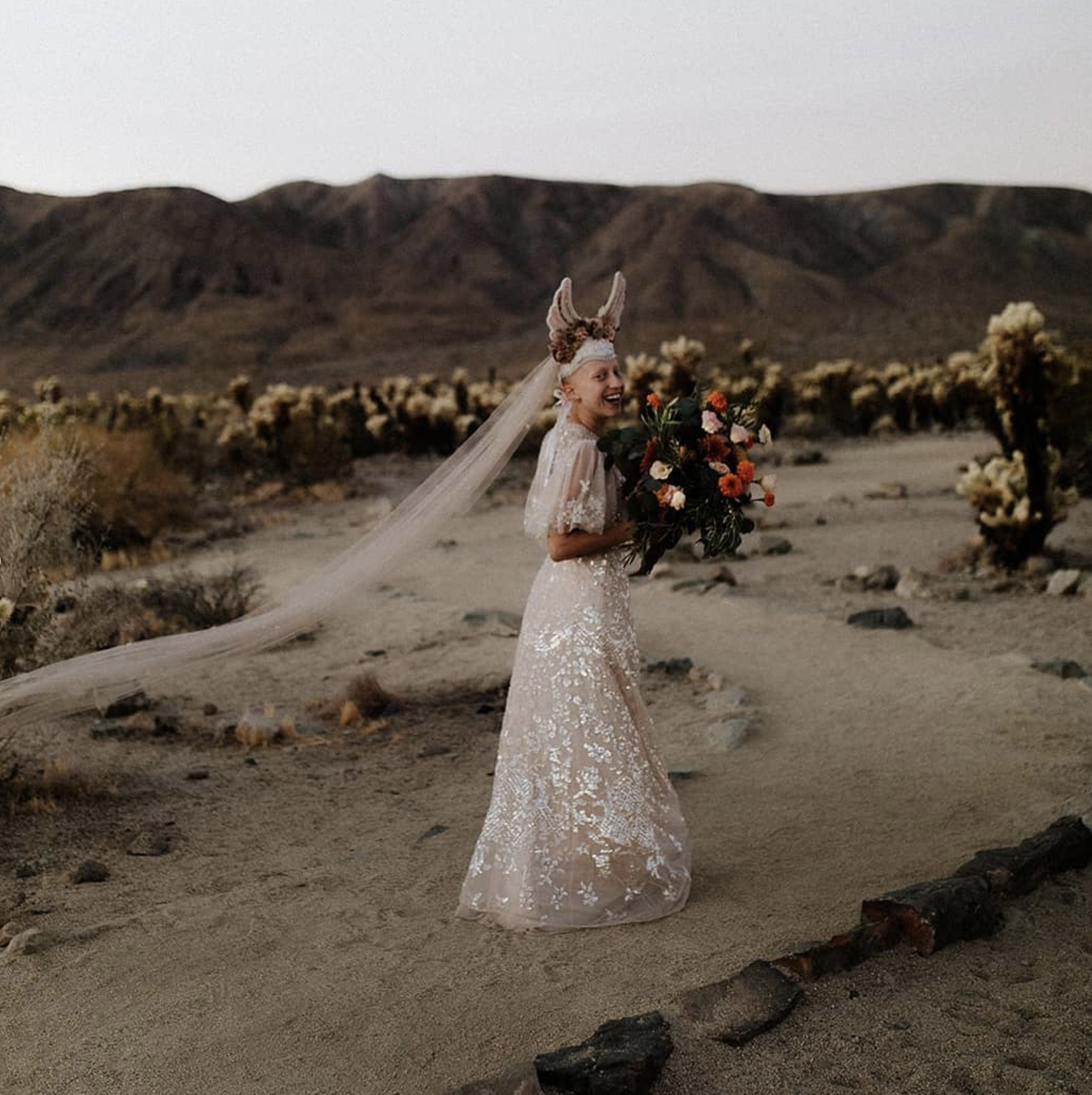 Screenshot 2026-01-09 at 1.15.20 PM.png