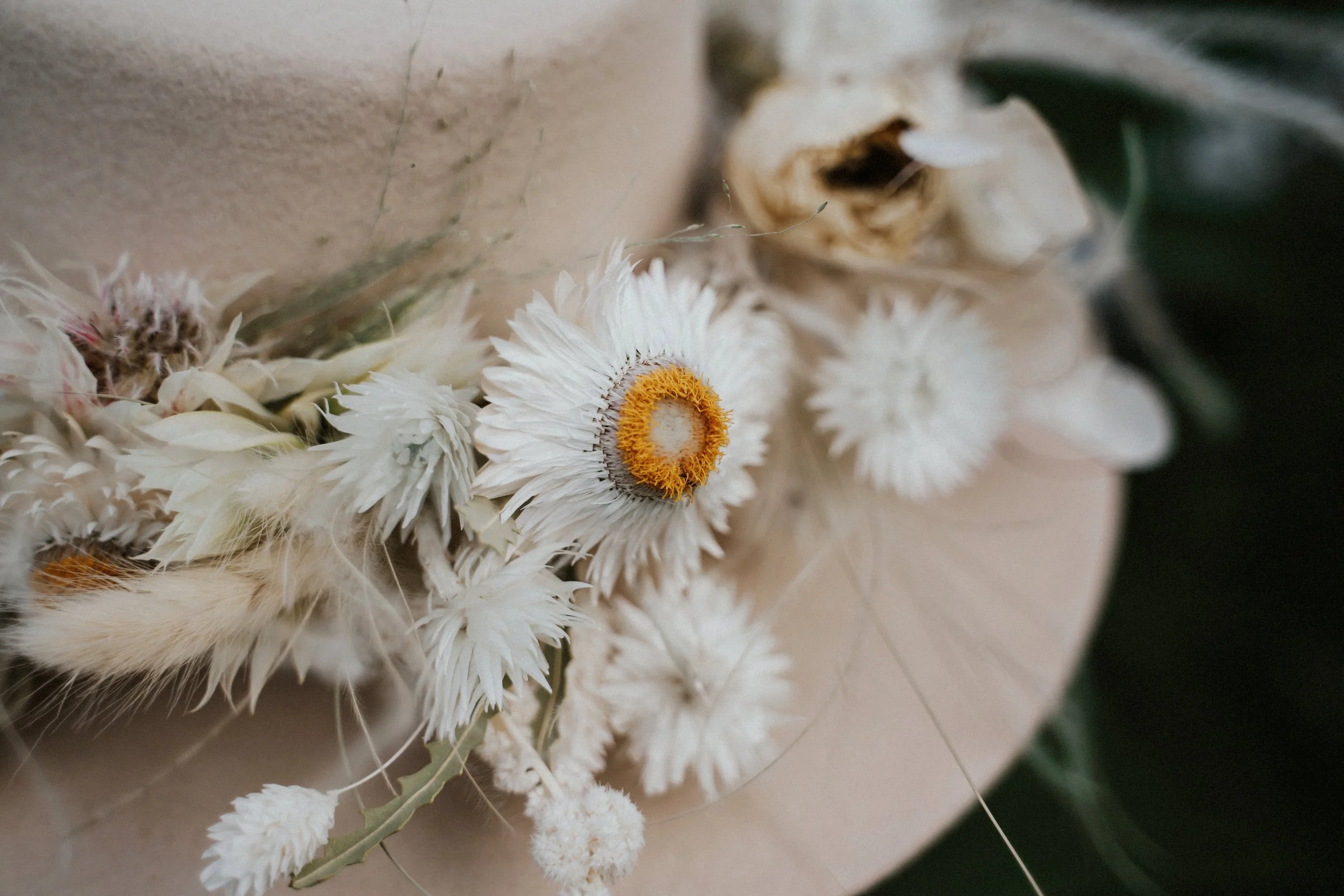 TheLandWedding~964.JPG