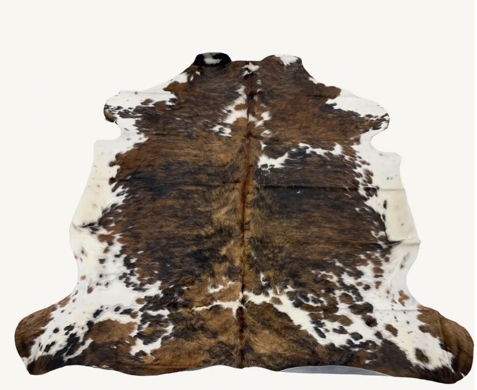 Screenshot 2026-02-28 at 12.50.36 PM.png