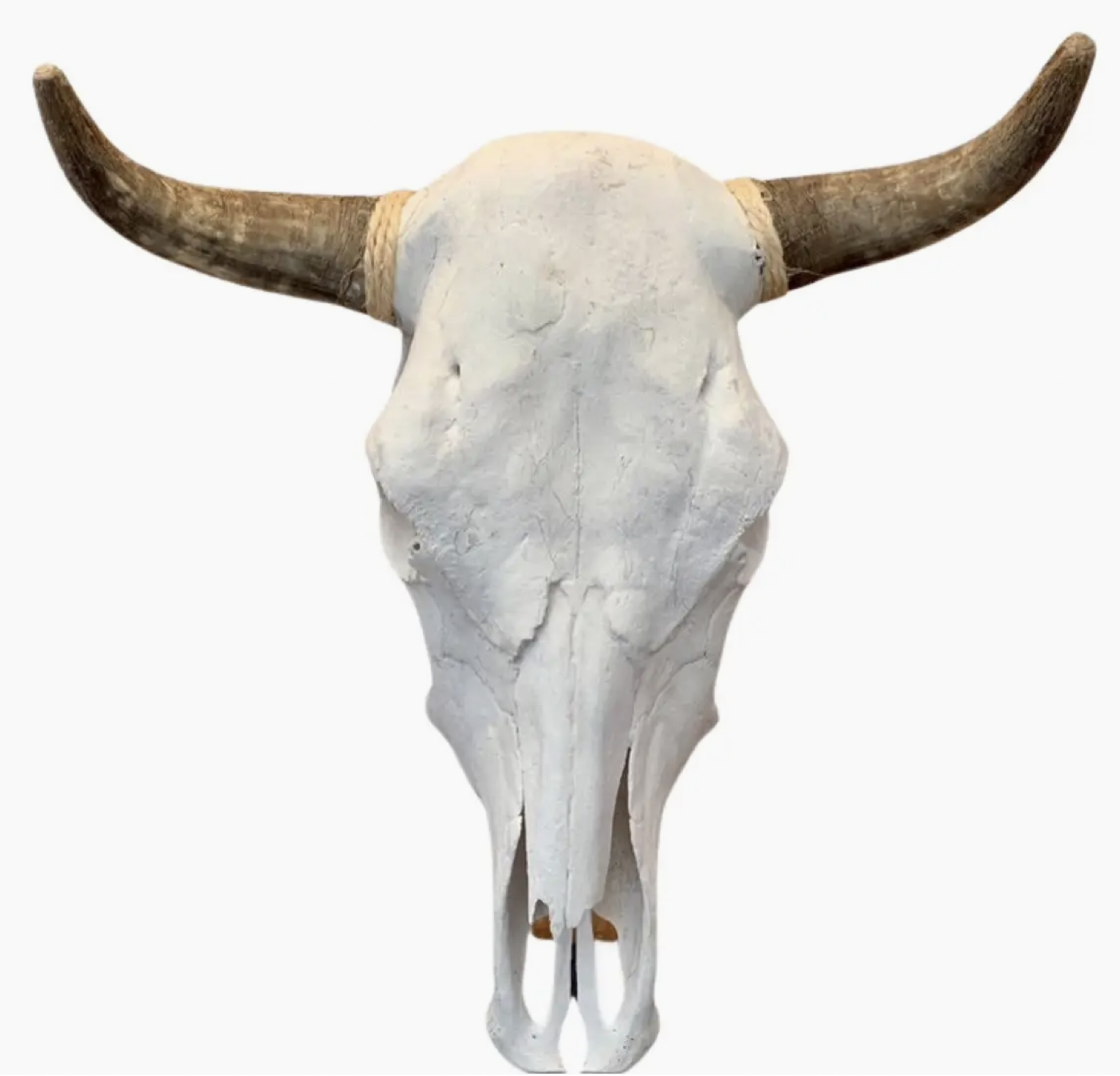 Screenshot 2026-02-28 at 12.50.19 PM.png