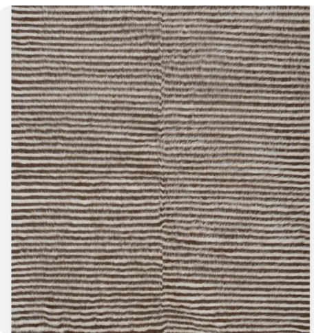 Screenshot 2026-03-20 at 11.13.26 AM.png