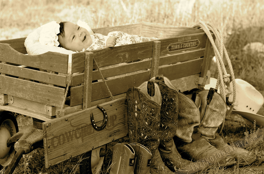 Harper.Country1.png