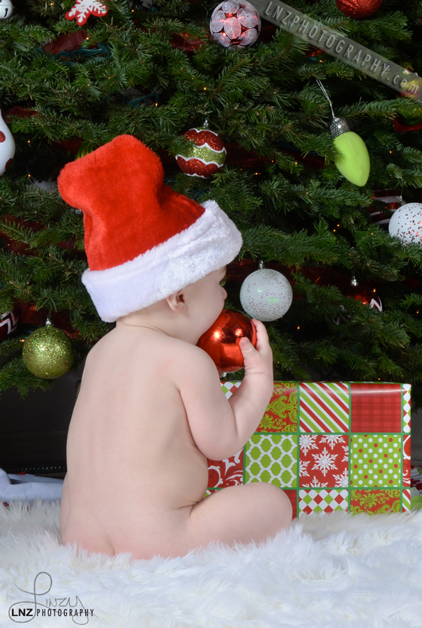 MasonNakedTree.png