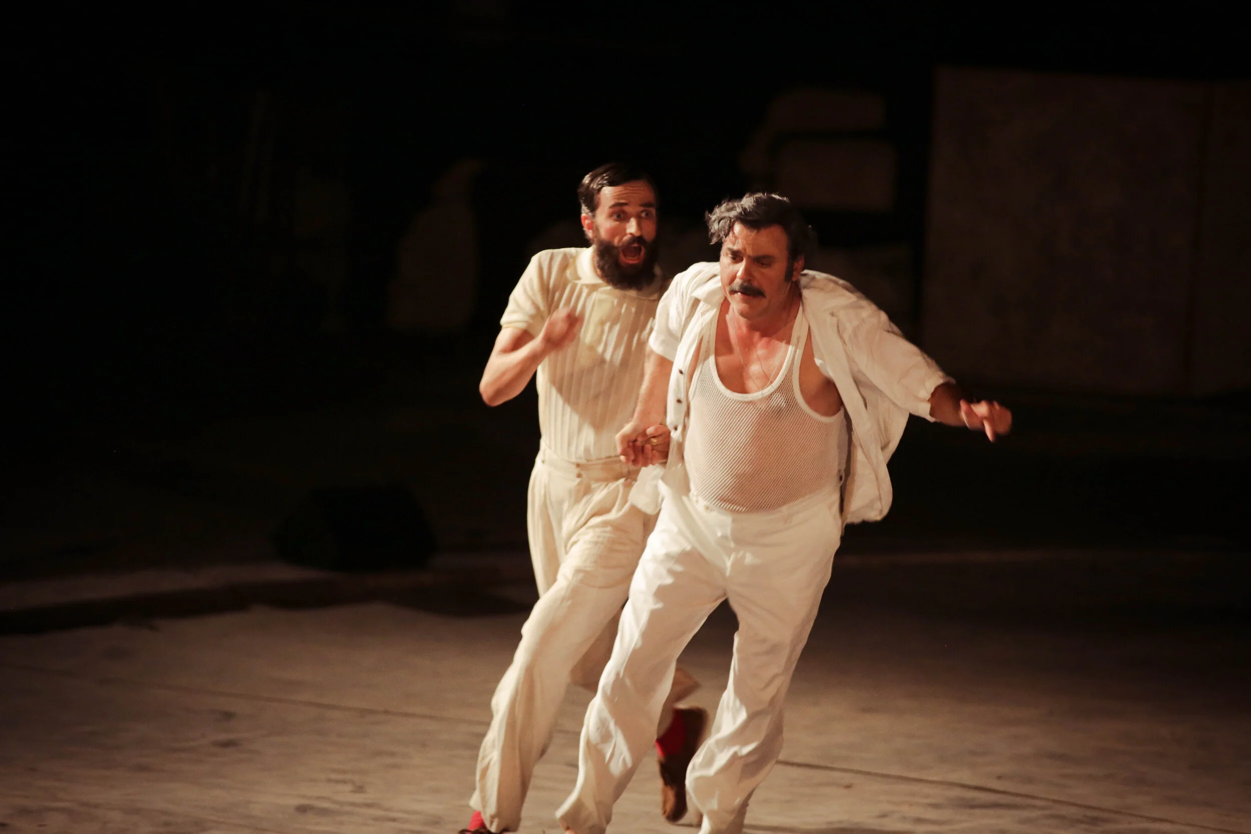 IMG_6981_Kiki Papadopoulou_Ornithes 4.jpg