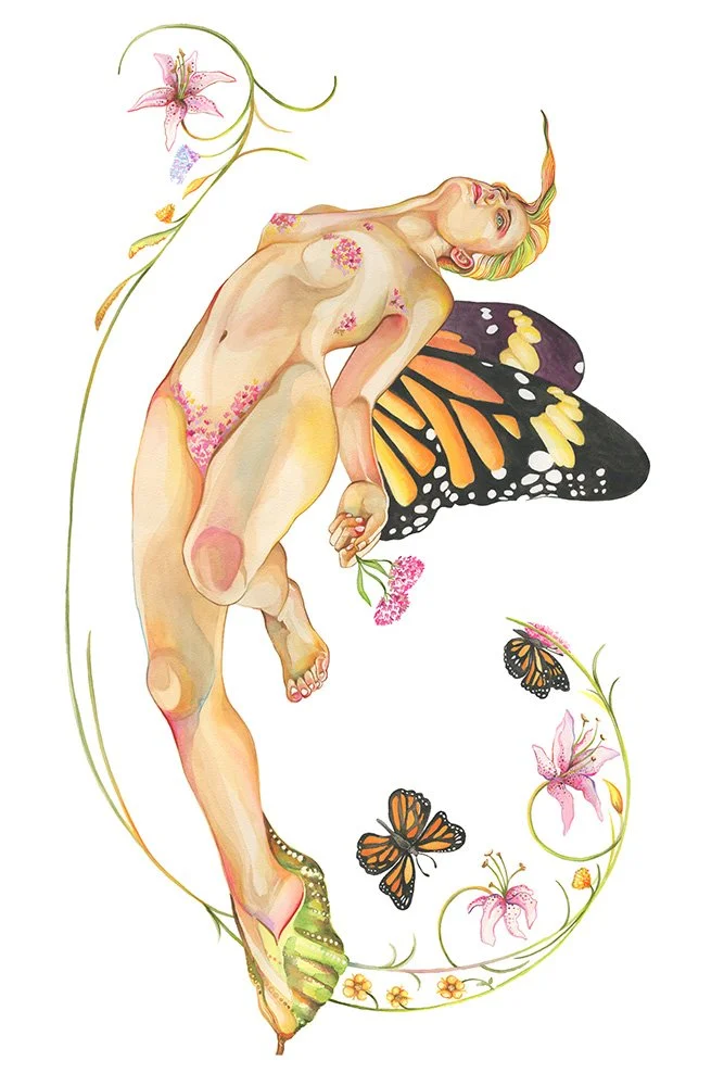 Chrysalis