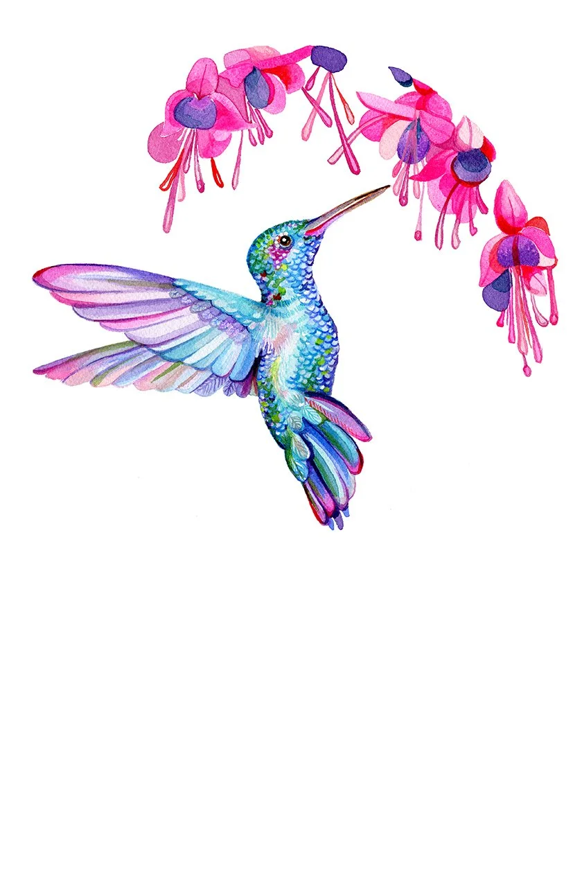 hummingbirdweb.jpg