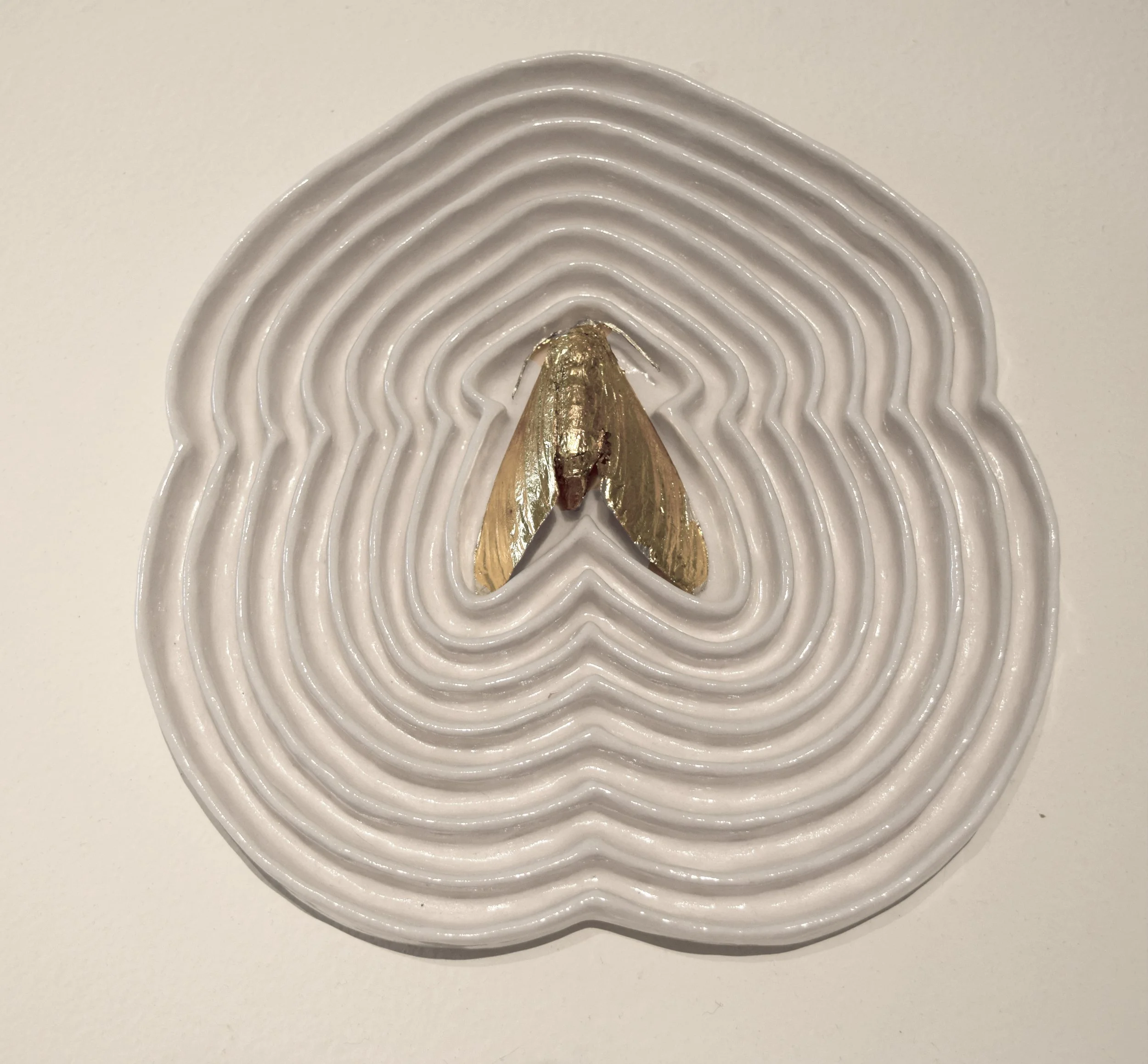 Mothj_.jpg