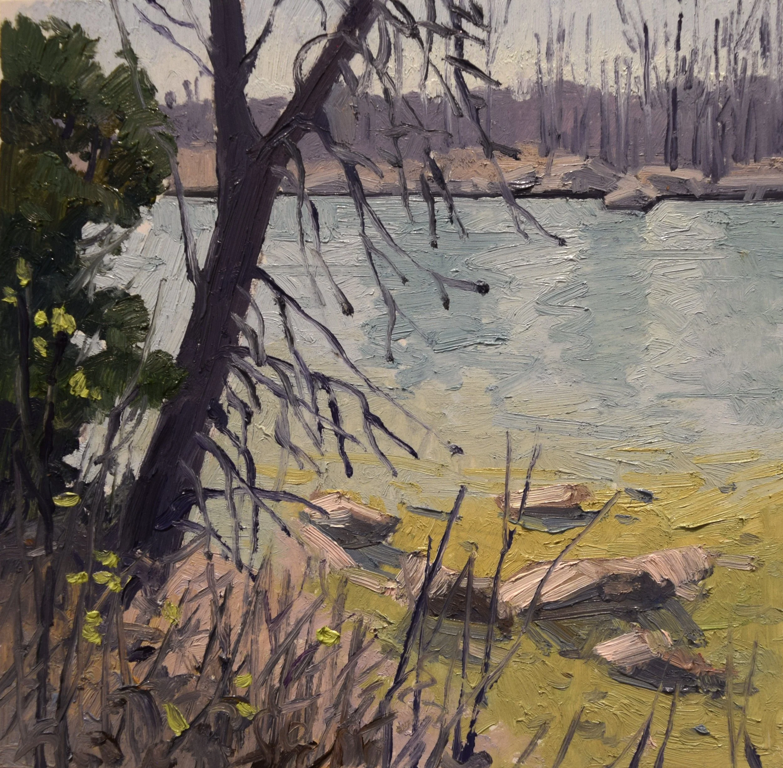 lake.jpg