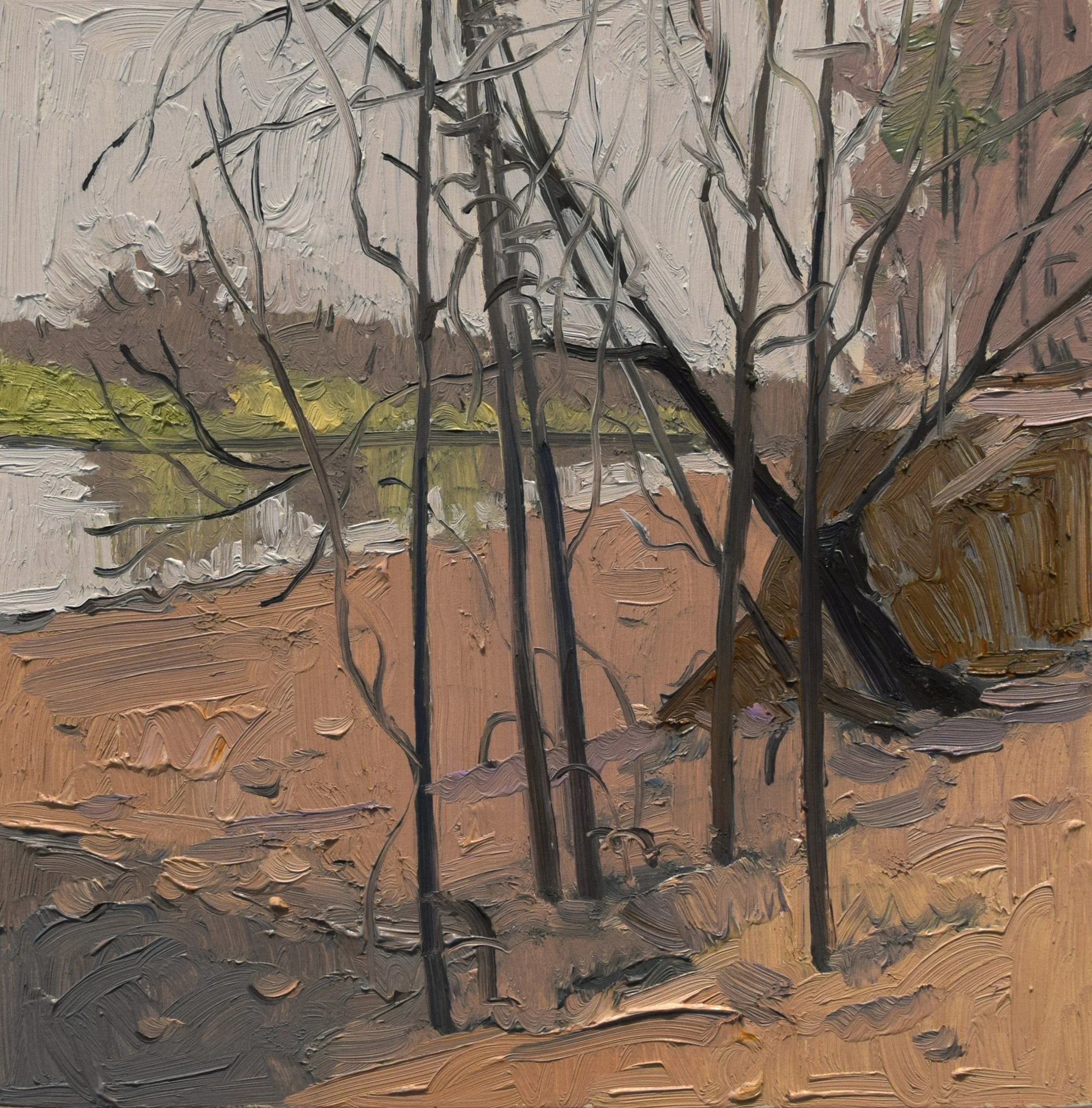 landscape 3.jpg