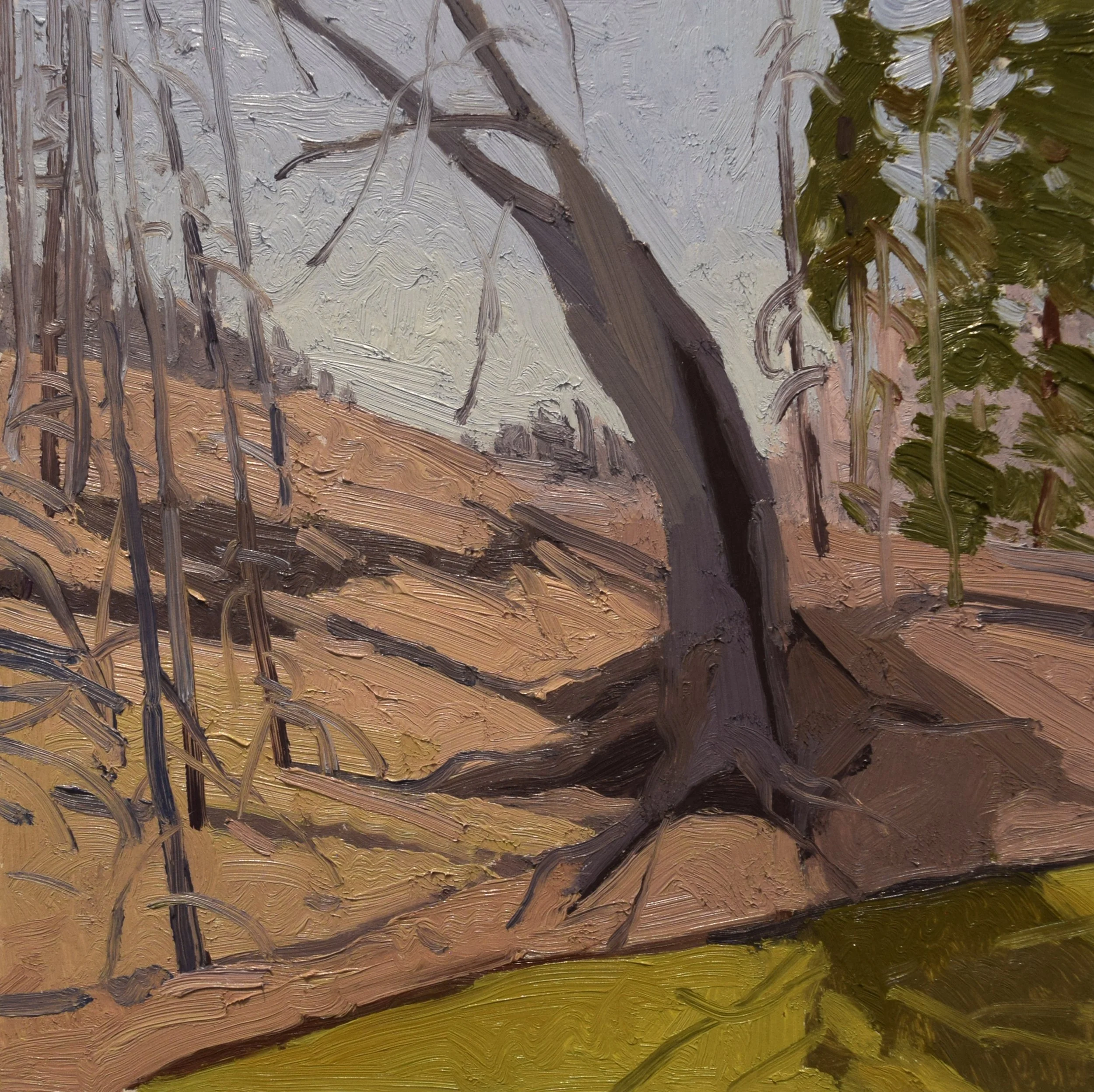 landscape 4.jpg