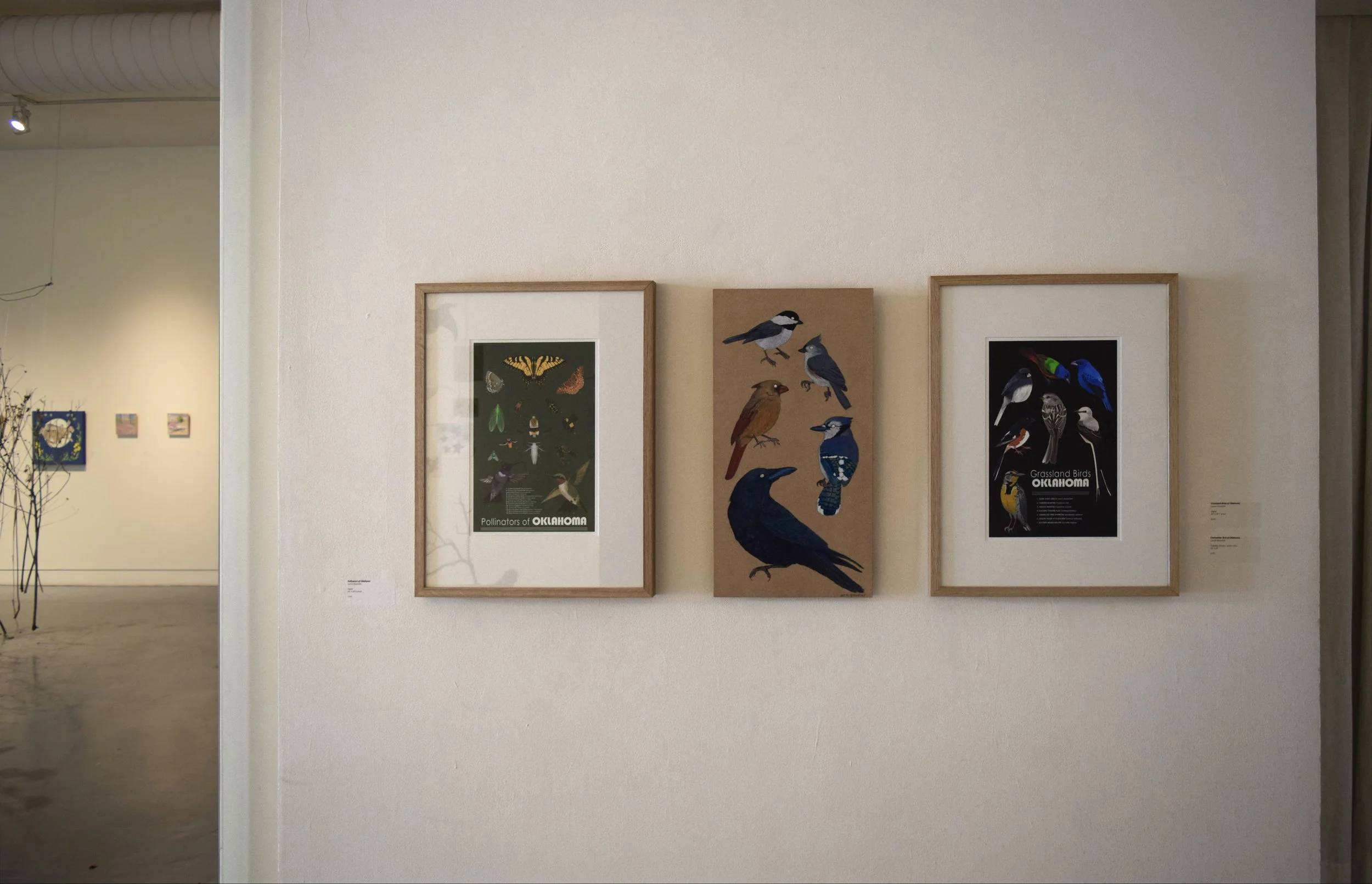 birds in small hallway.jpg