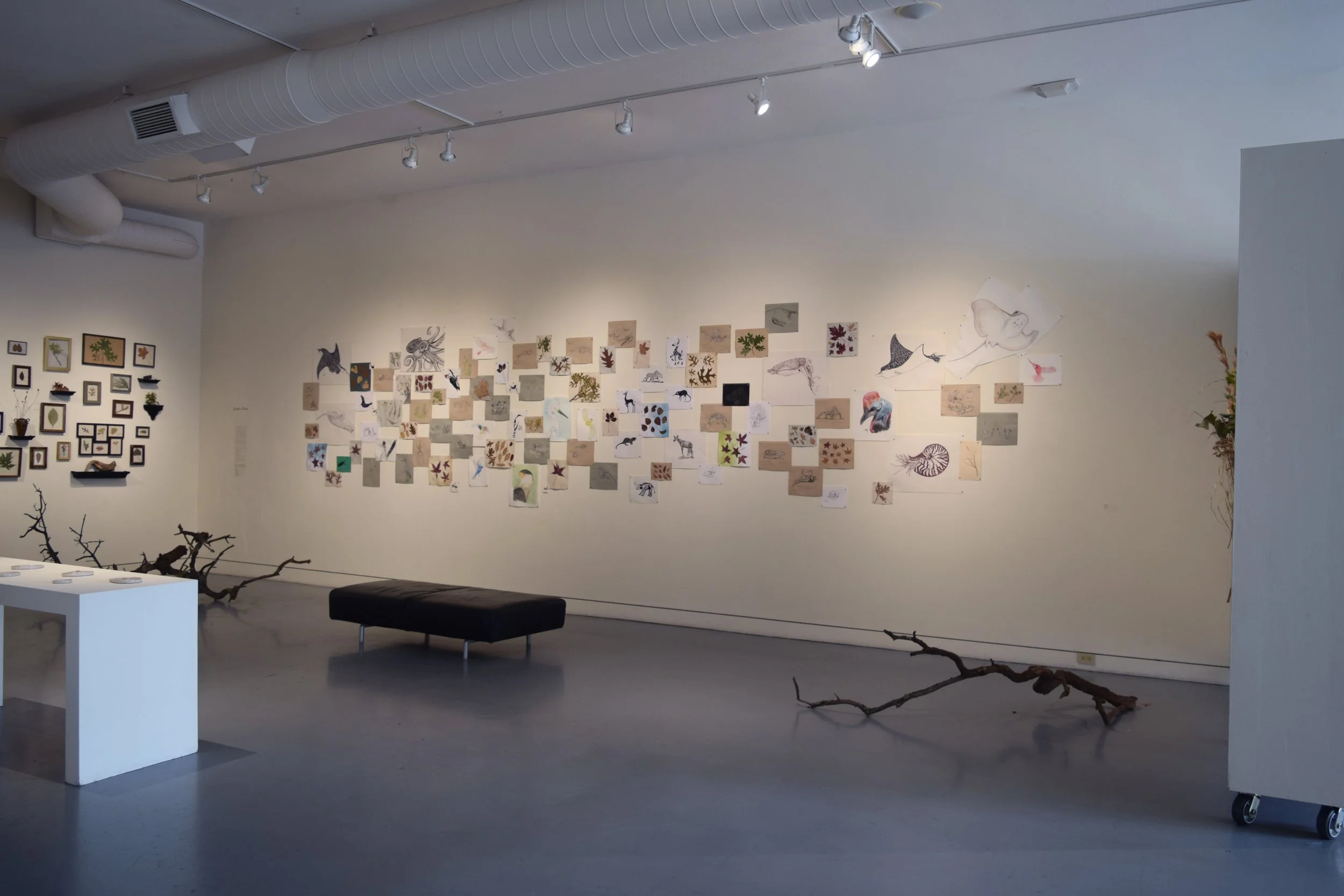 install view.jpg