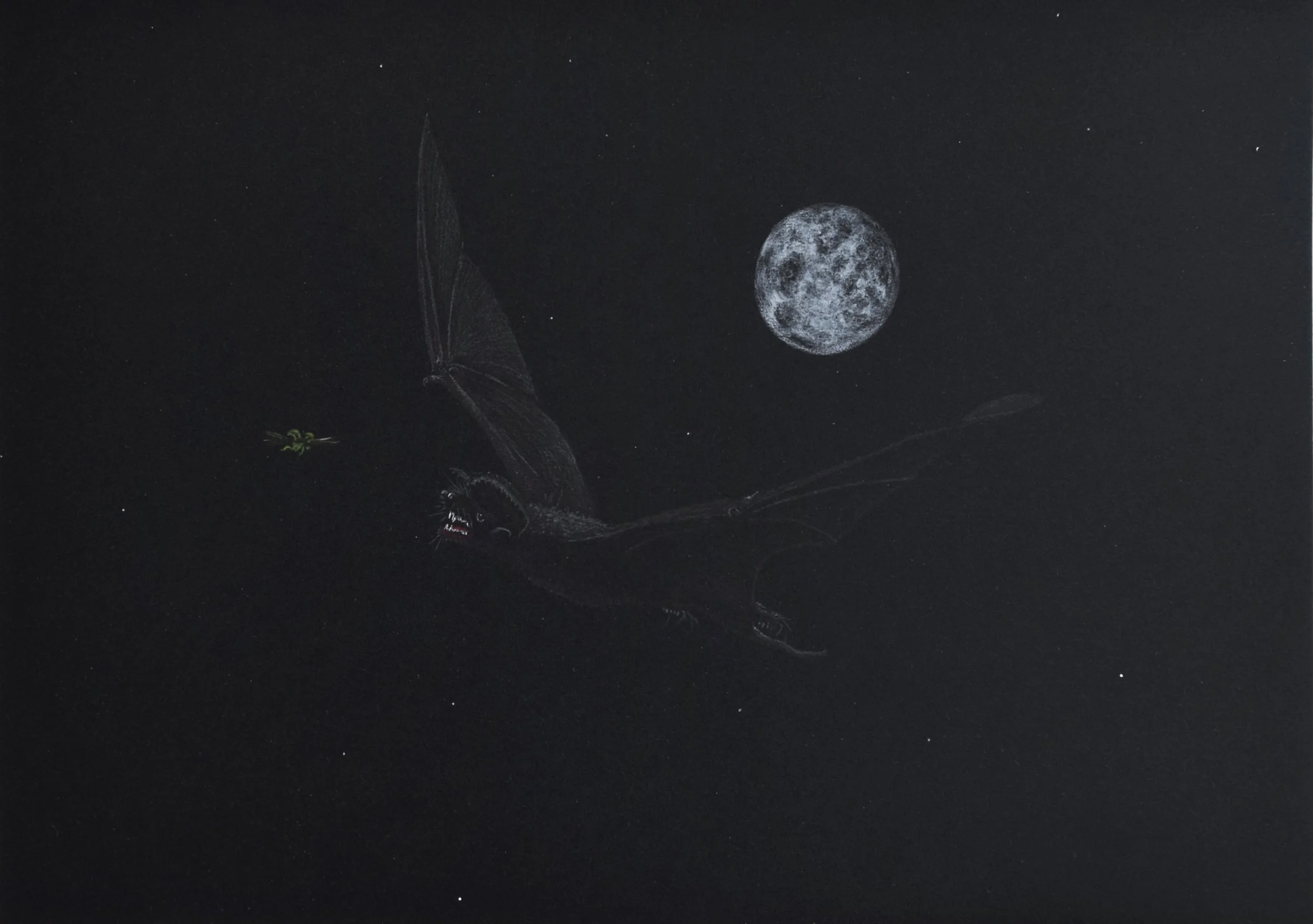 bat 2.jpg