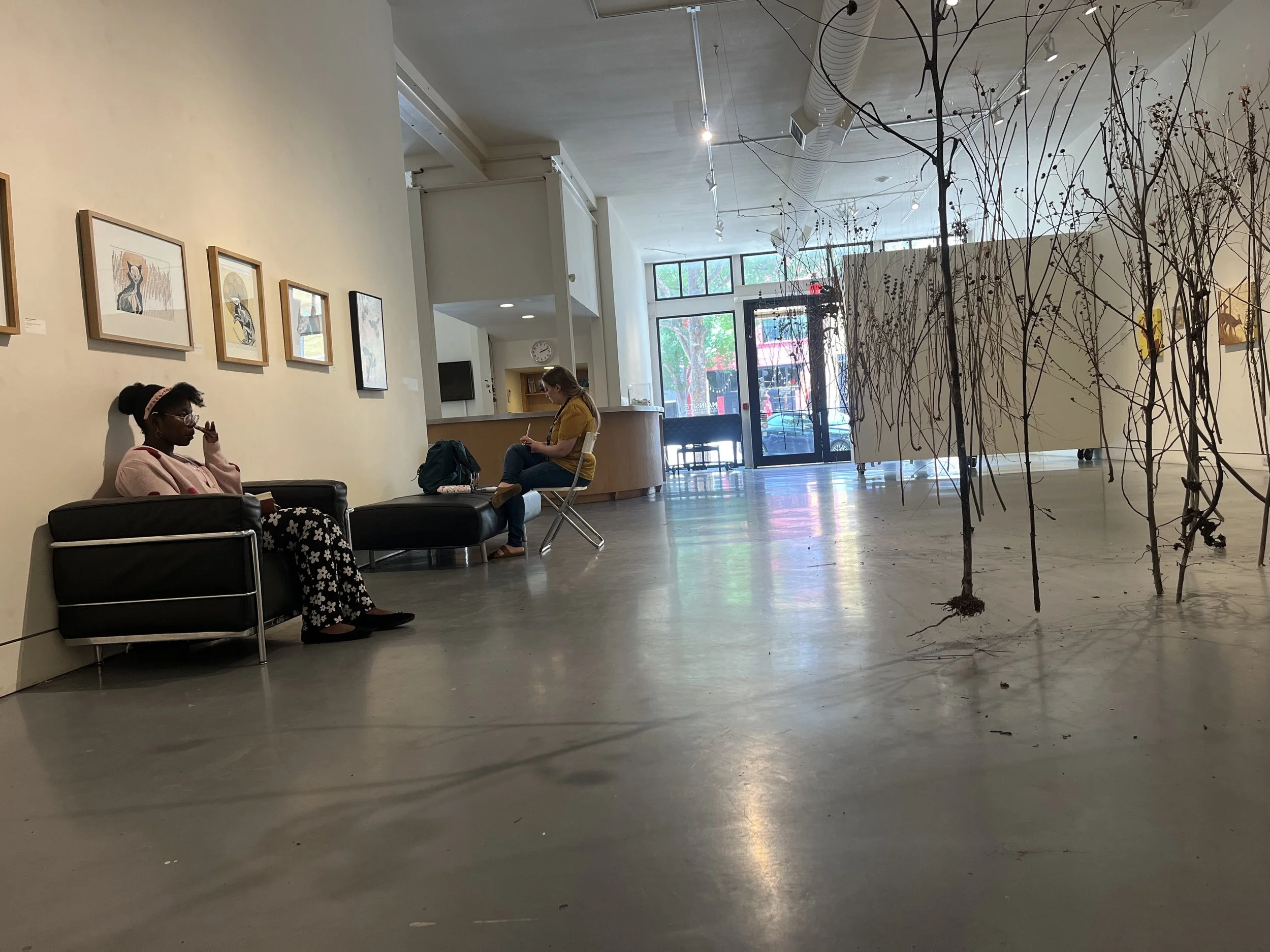 IMG_3678.jpeg