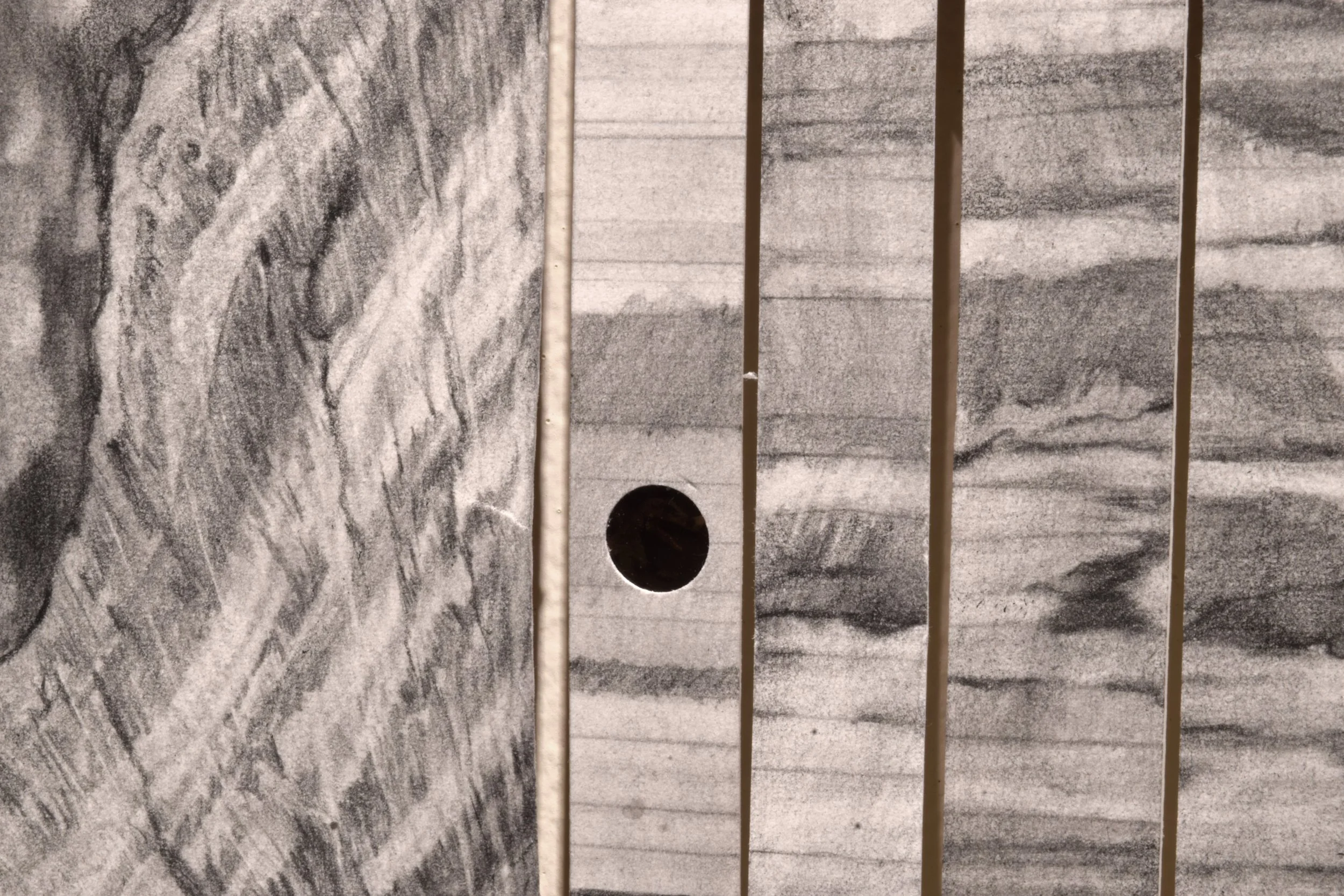 Core sample up close.jpg