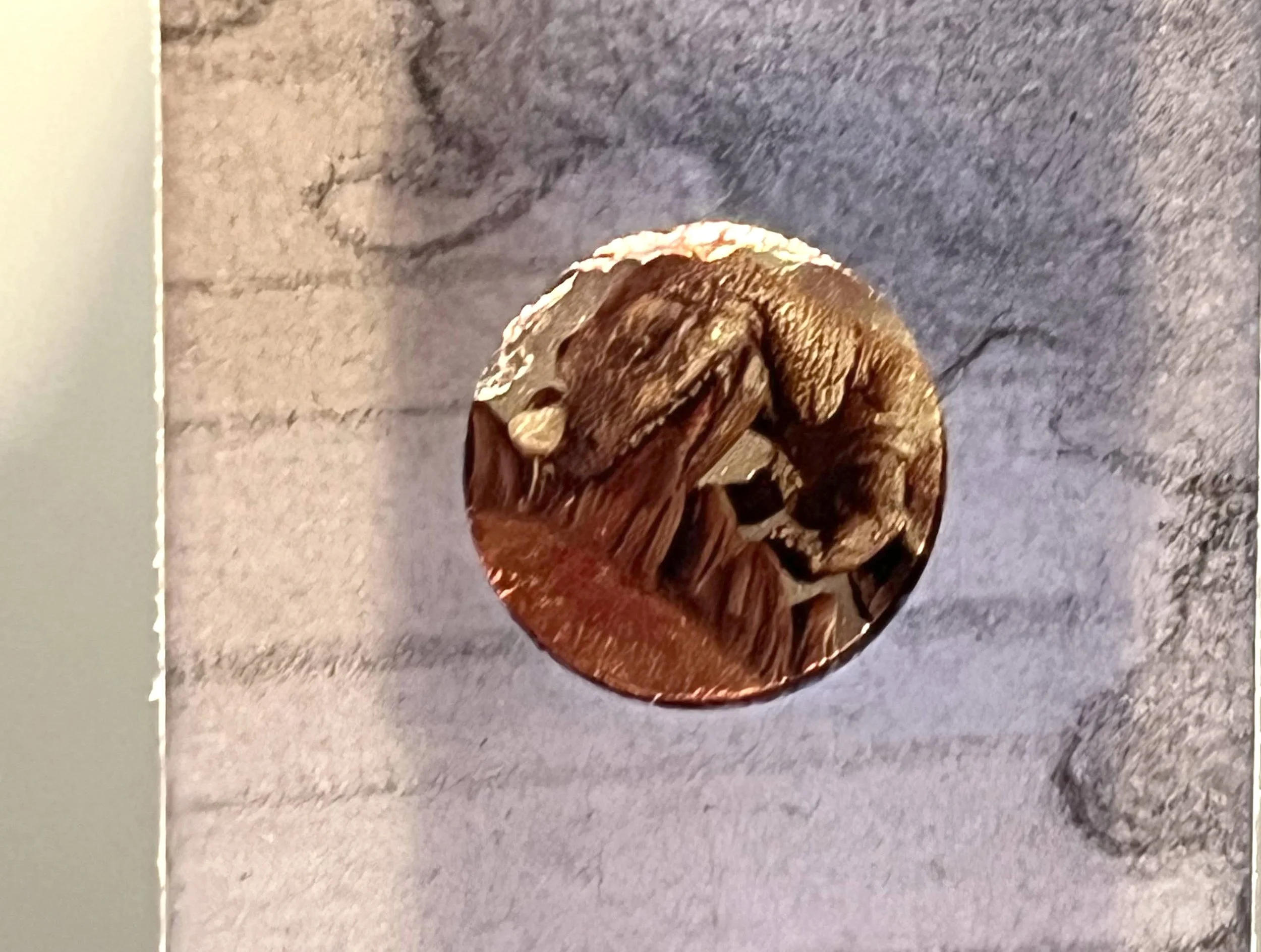 Core Sample _ dino.jpg