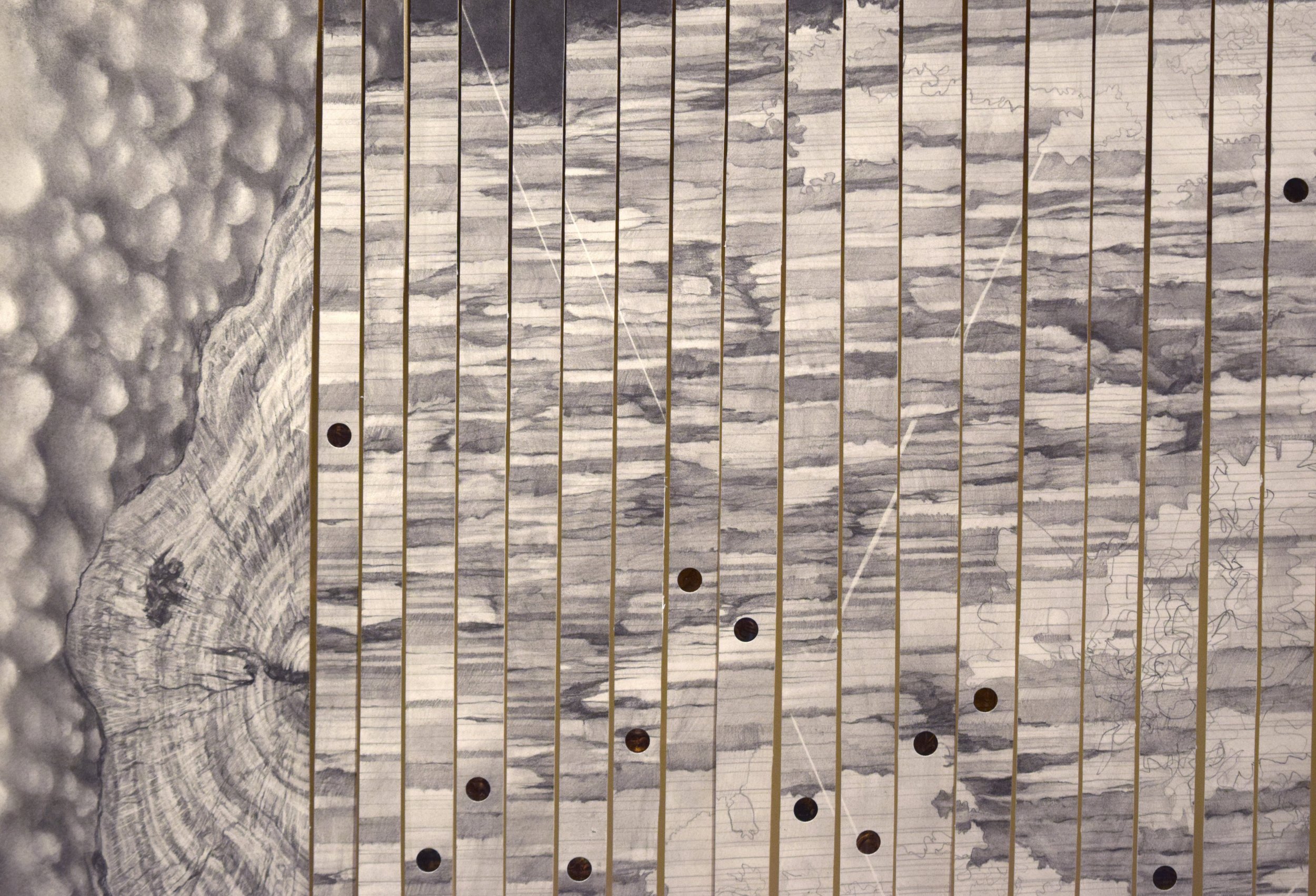 core sample_zoom.jpg