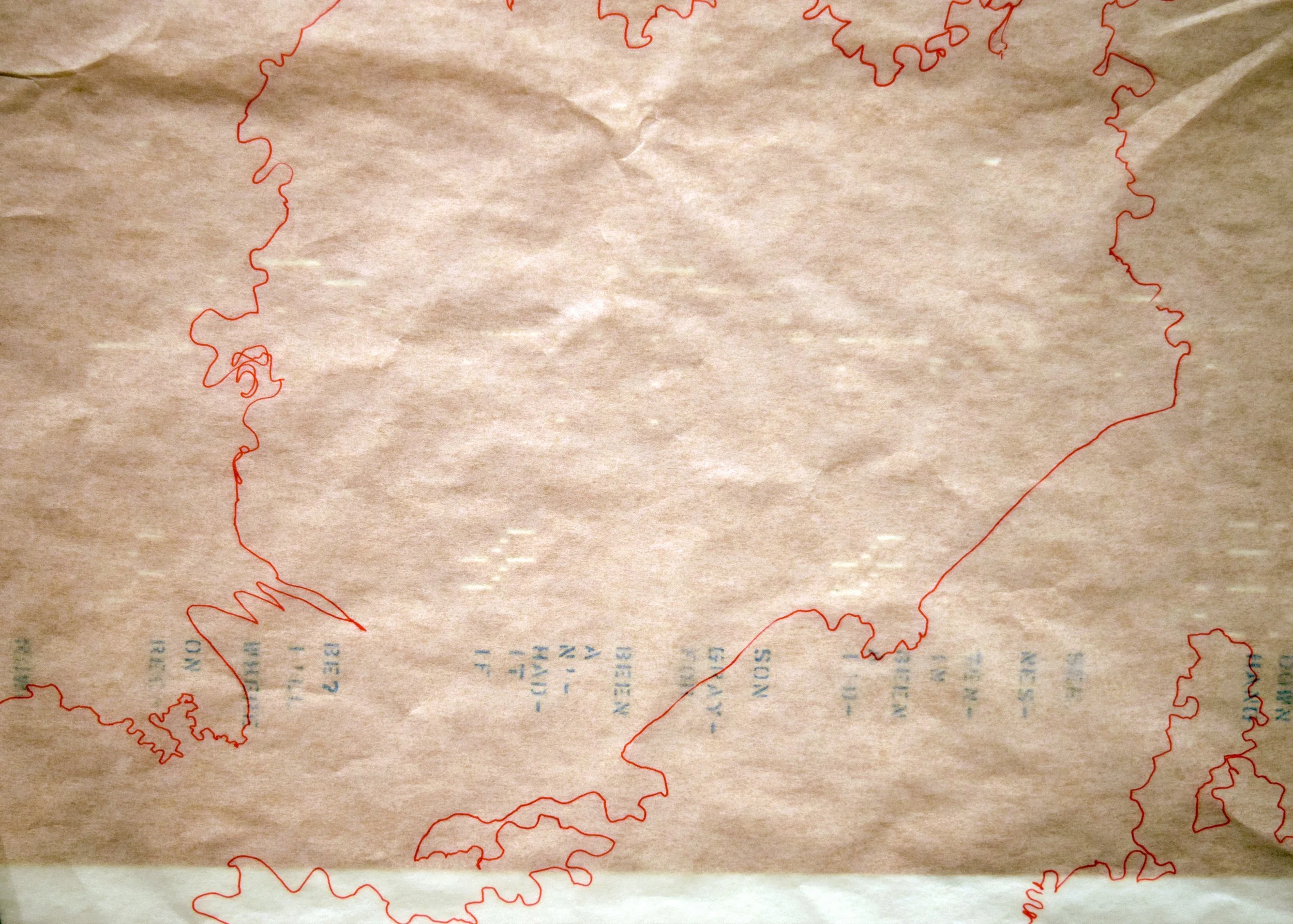 ghost trace fossil sample.jpg