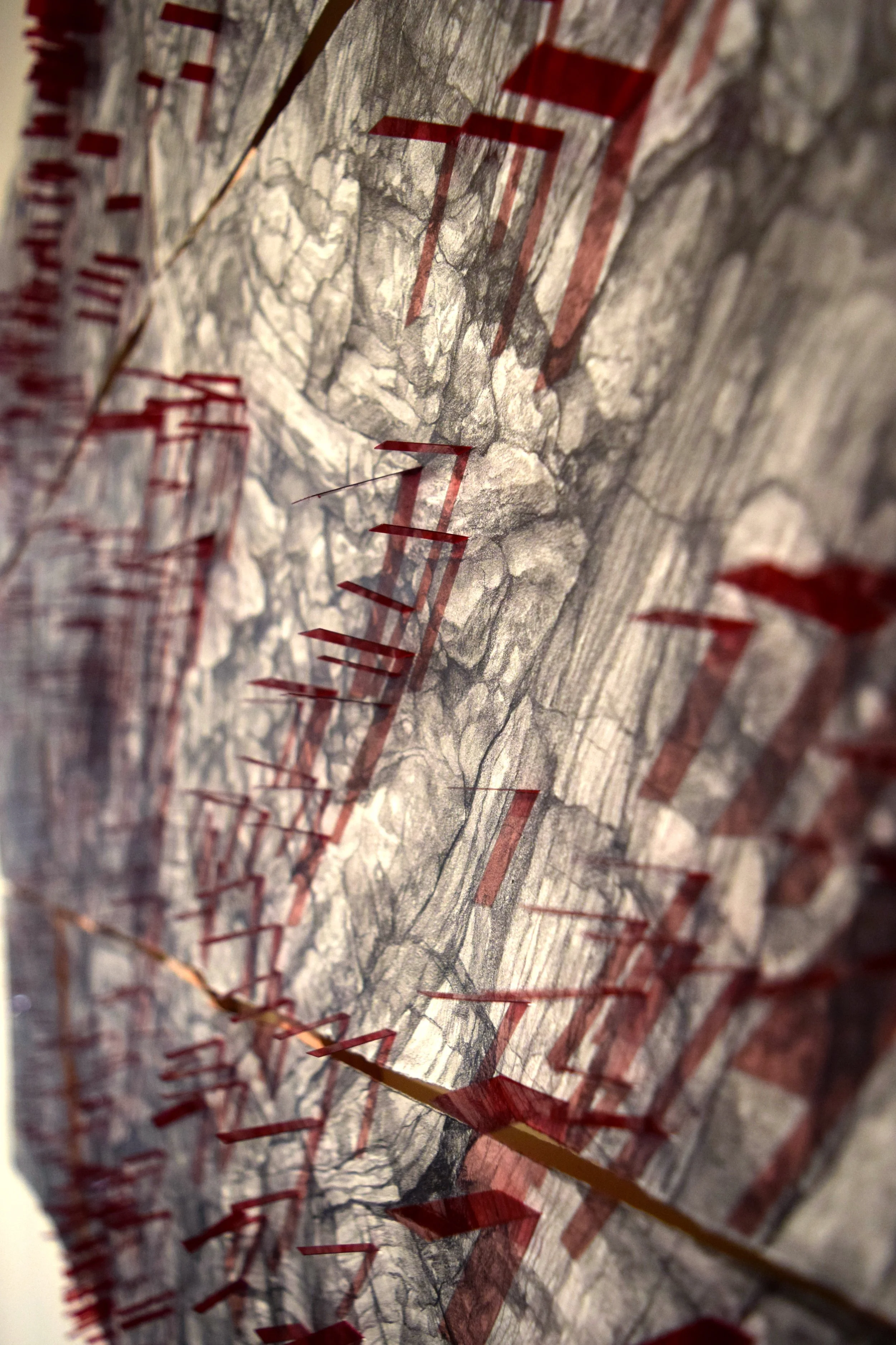 Deep Cuts_close up.jpg