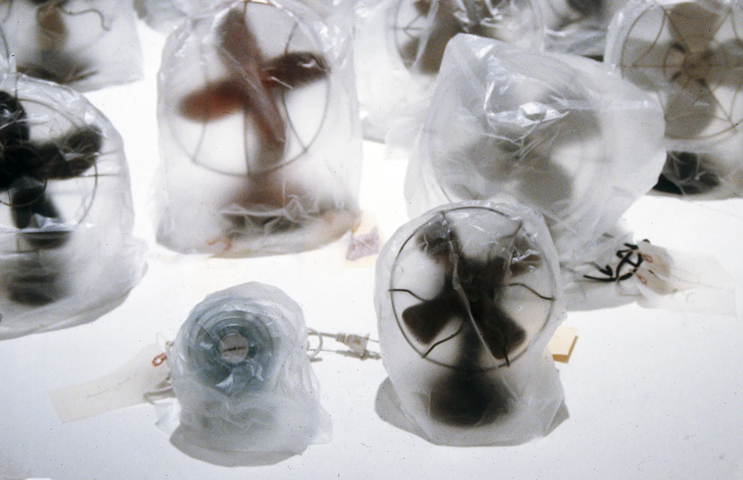 Eight Winds - Accumulation detail