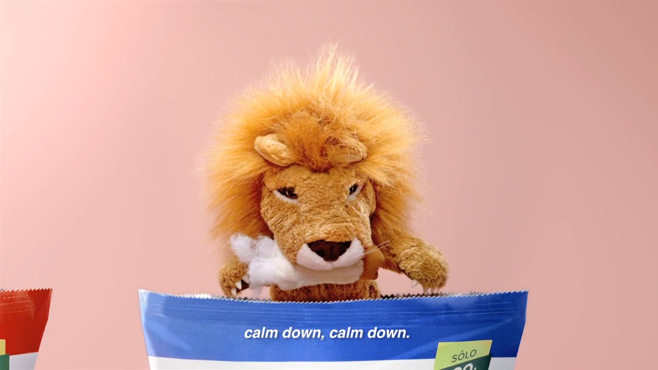 Gallo Lion