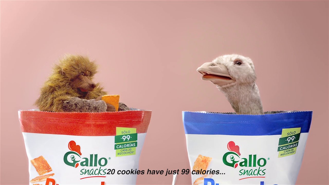 Gallo Foreigner