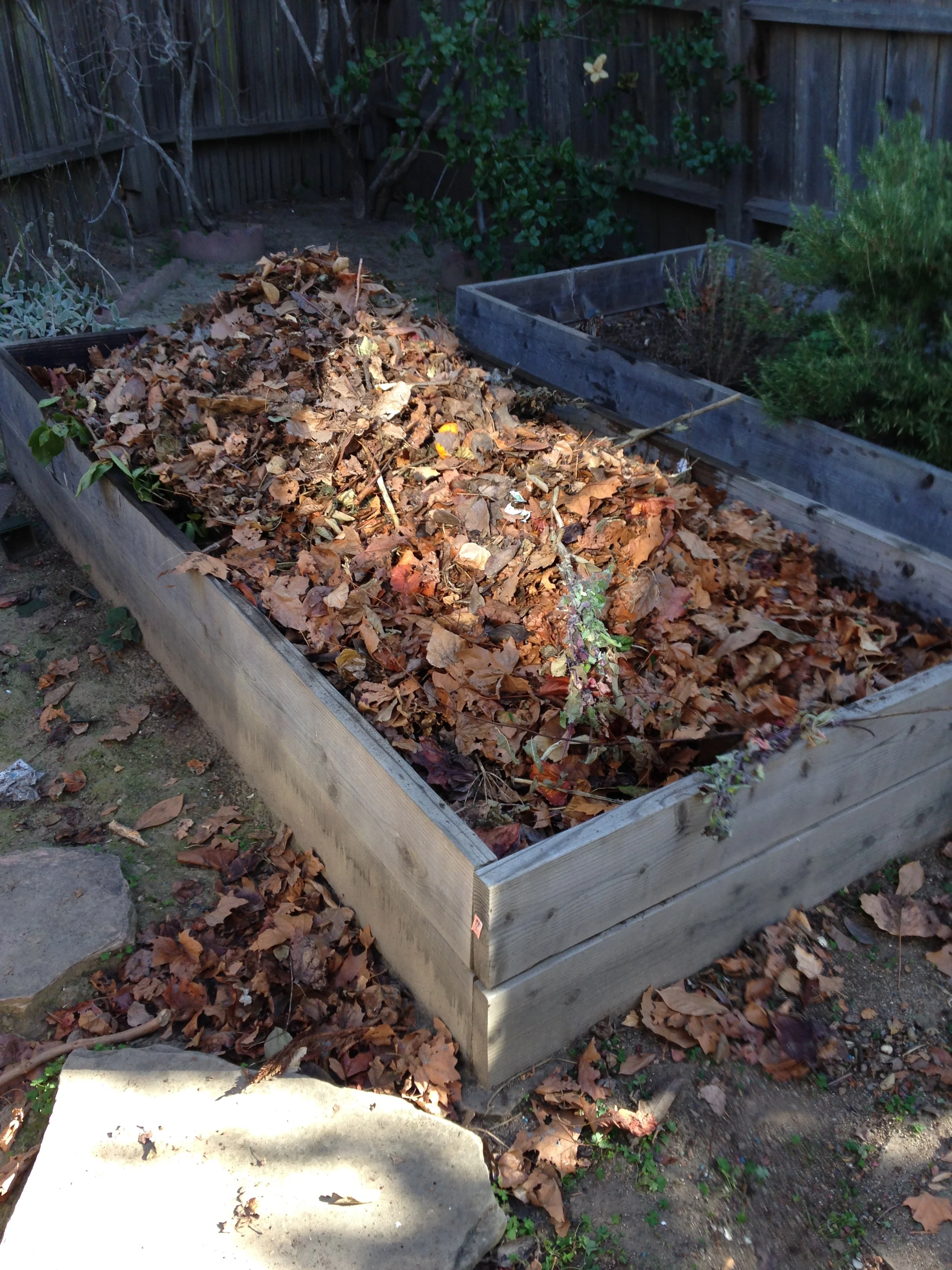 Here's the old garden bed with all the un-decomposed stuff from the compost bin on top. I watered it deeply and now we wait. Although most likely I'll be turning this one instead of being lazy as usual.