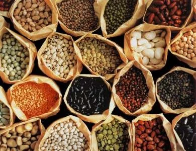 Dried bean varieties.